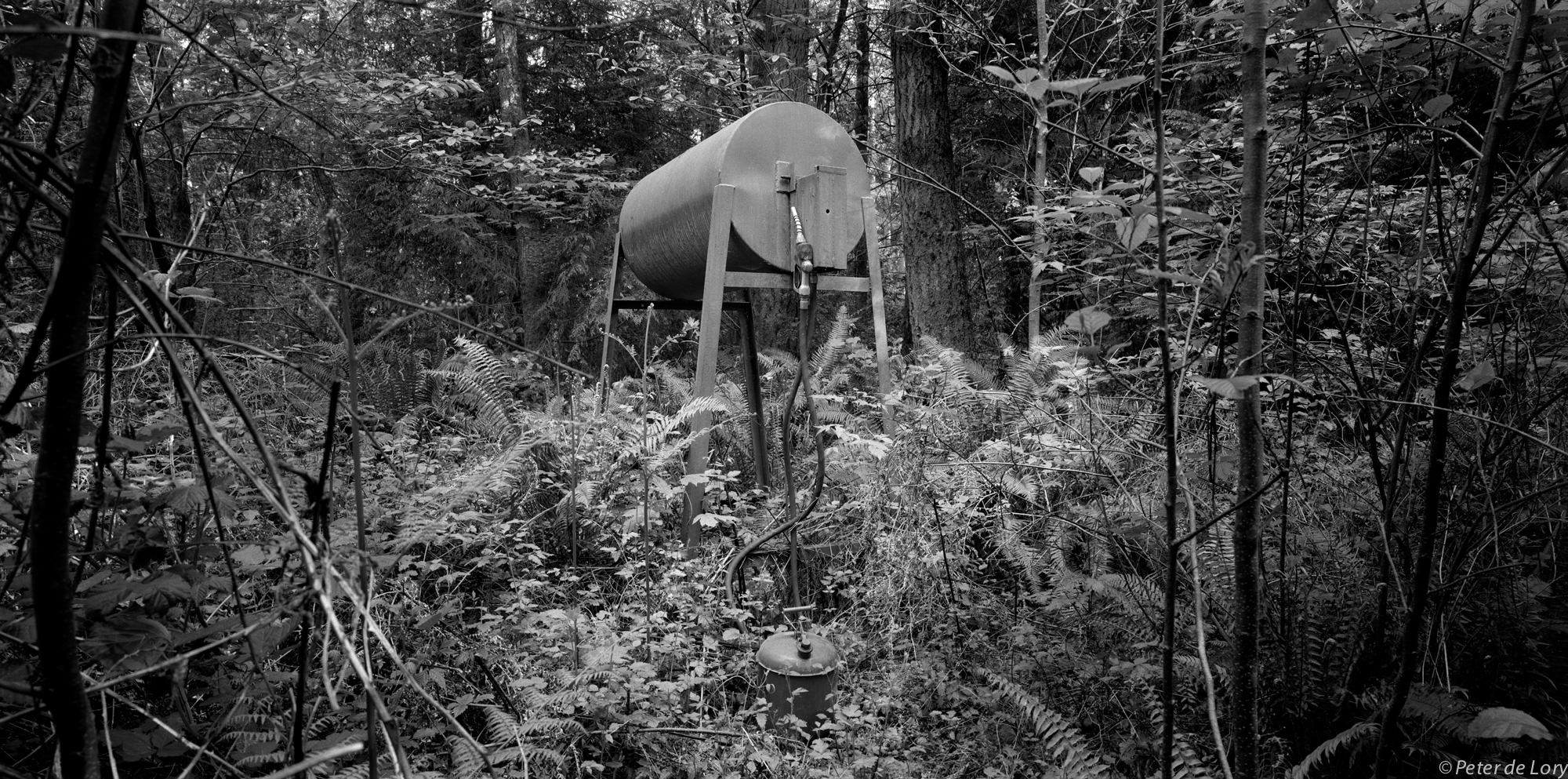 Fuel Tank in the Woods,Bainbridge Is. WA, 2004