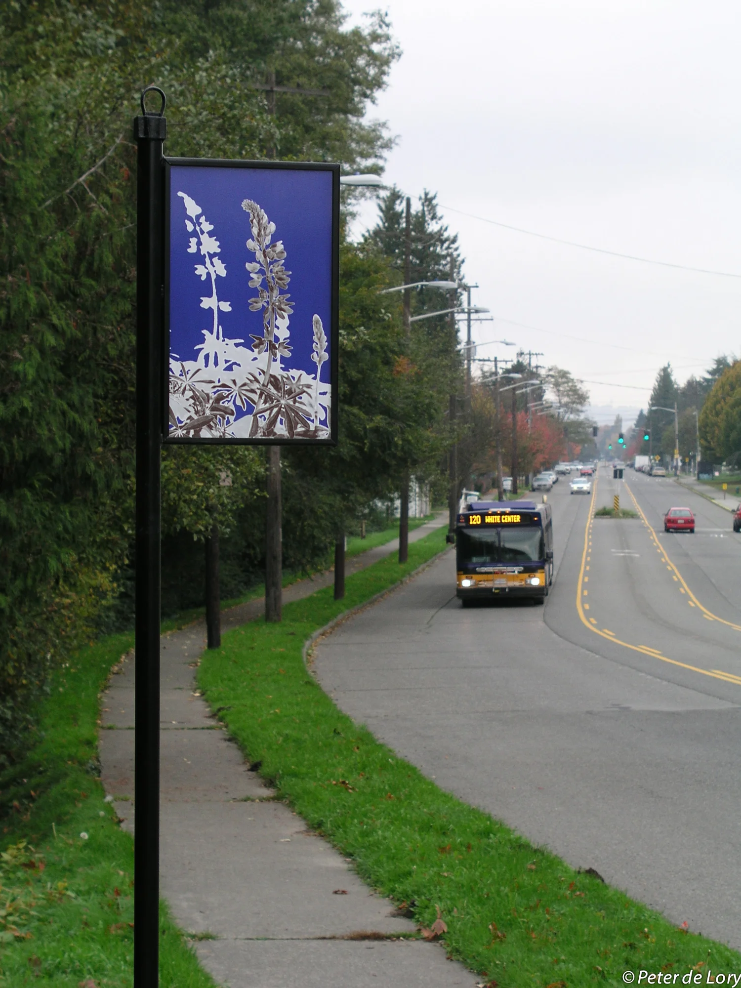 Lupine, 17"x27", enamel on steel, 2004