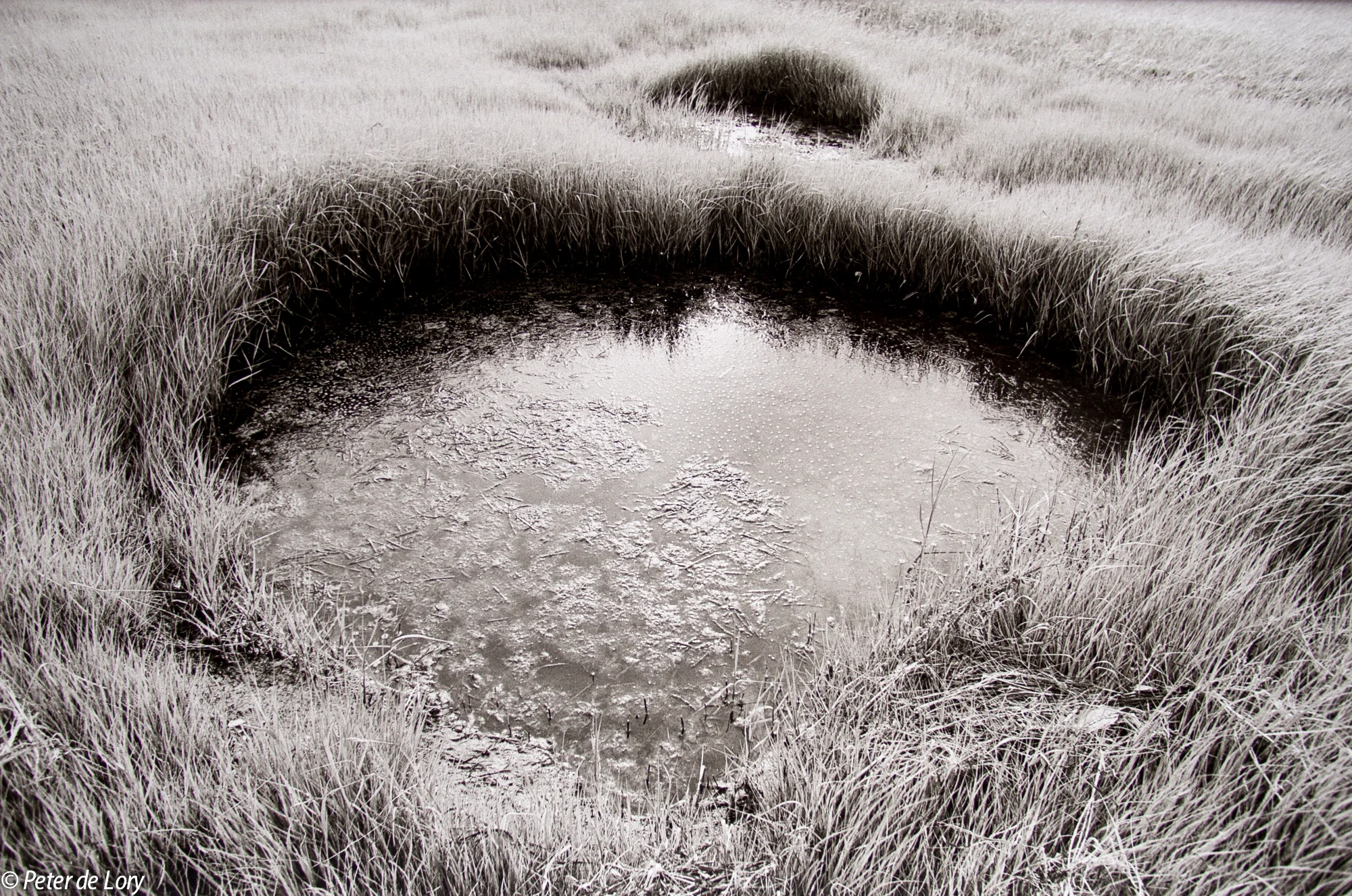 2. Marsh Light, Orleans, Massachusetts 1973