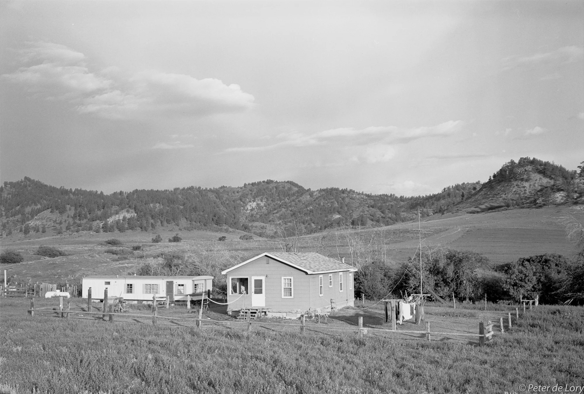 The Henry & Alma Real Bird home