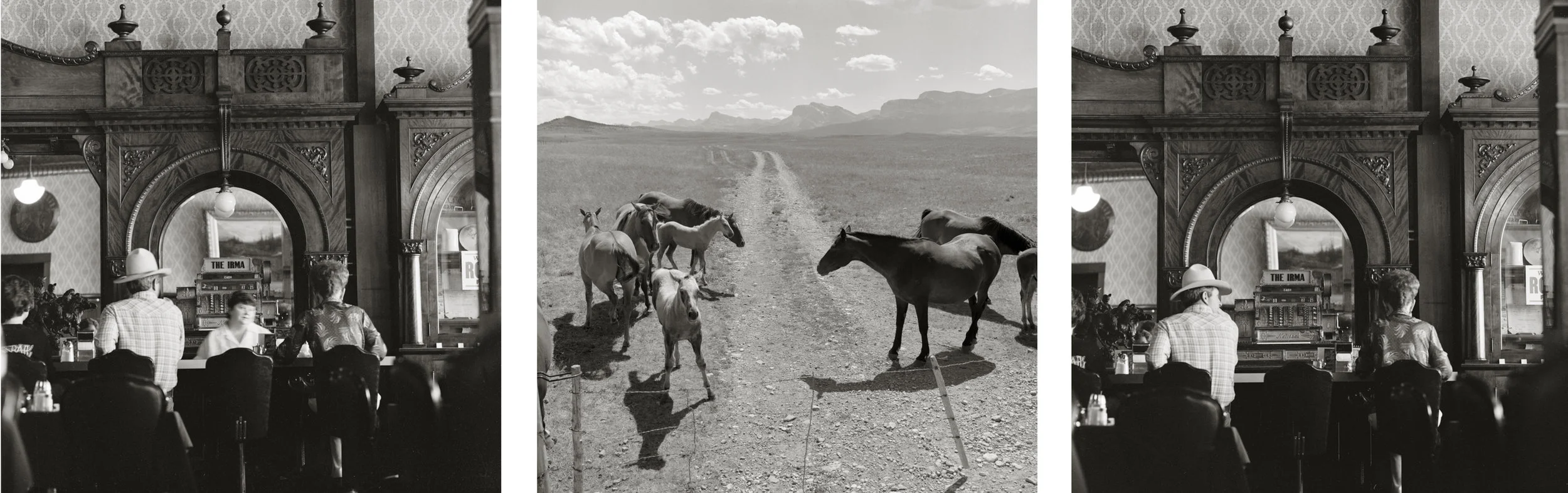 Listen to the Wind Erma Bar and Cafe, Cody Wyoming -Horses, Choteau, Montana, 1990