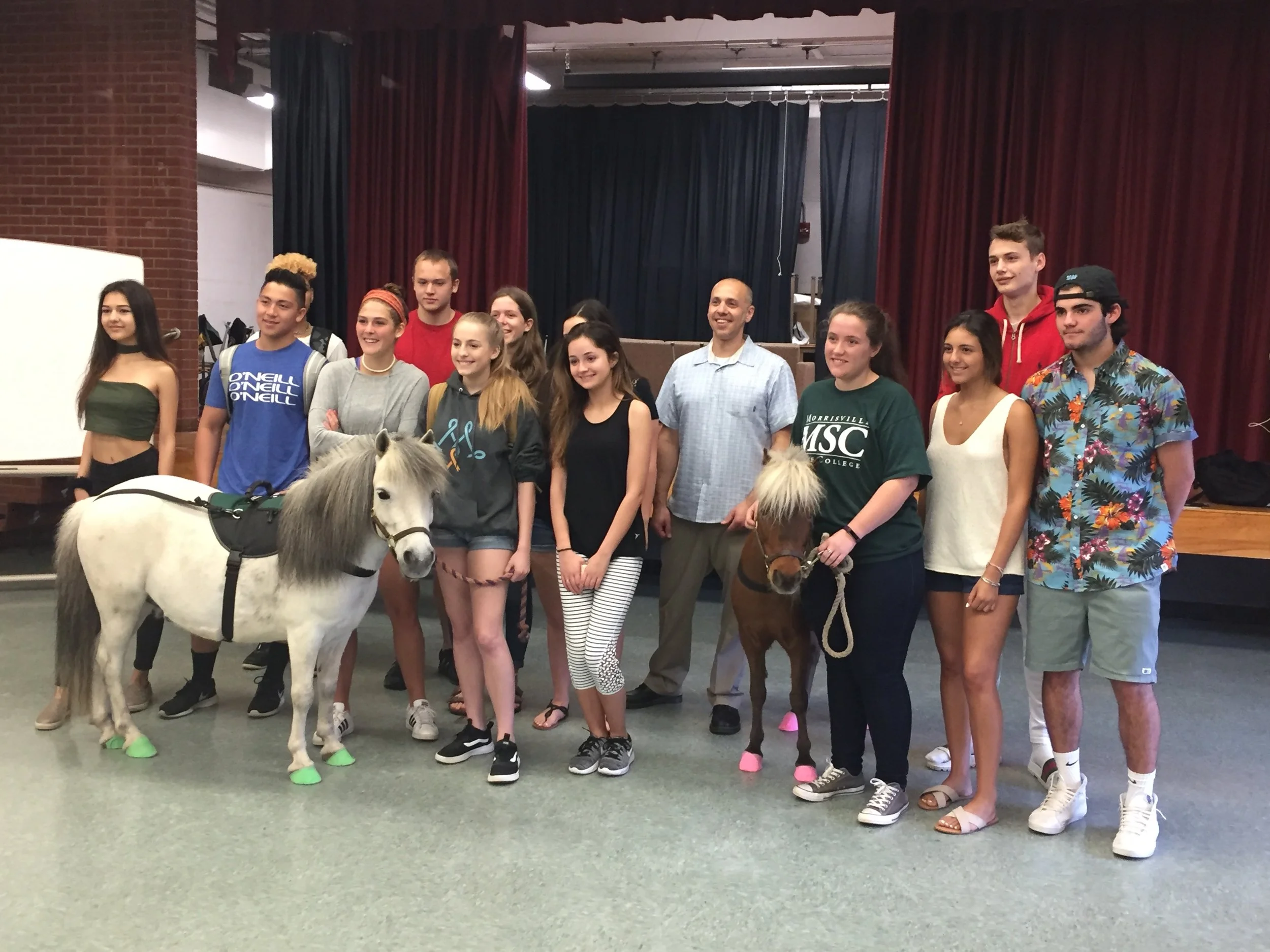 Caroline Ramme and the Service Ponies from Horseability Visit HF