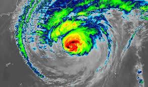 What Typhoon Hagibis has led to in Japan 