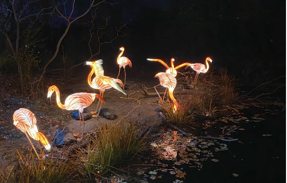 Tour the Holiday Lights Show at the Bronx Zoo