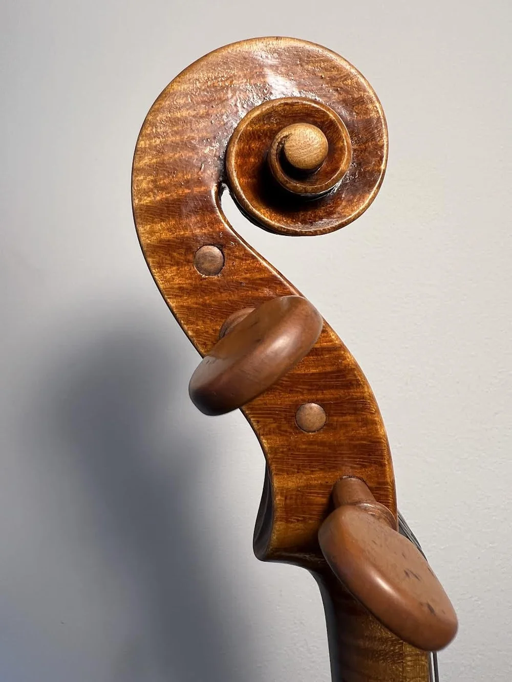 Montgomery scroll bass.jpg