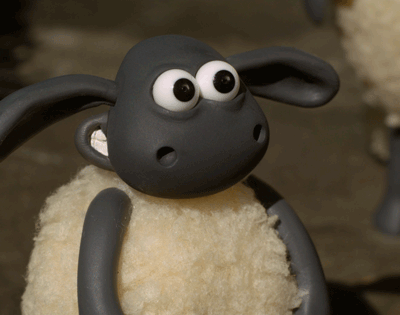 gif5.gif