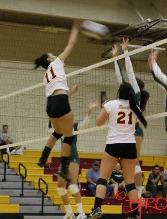 How Can You Increase Vertical In Season?