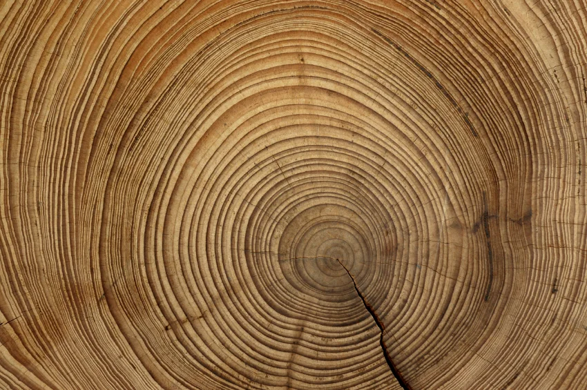 iStock_000002203150Small.jpg