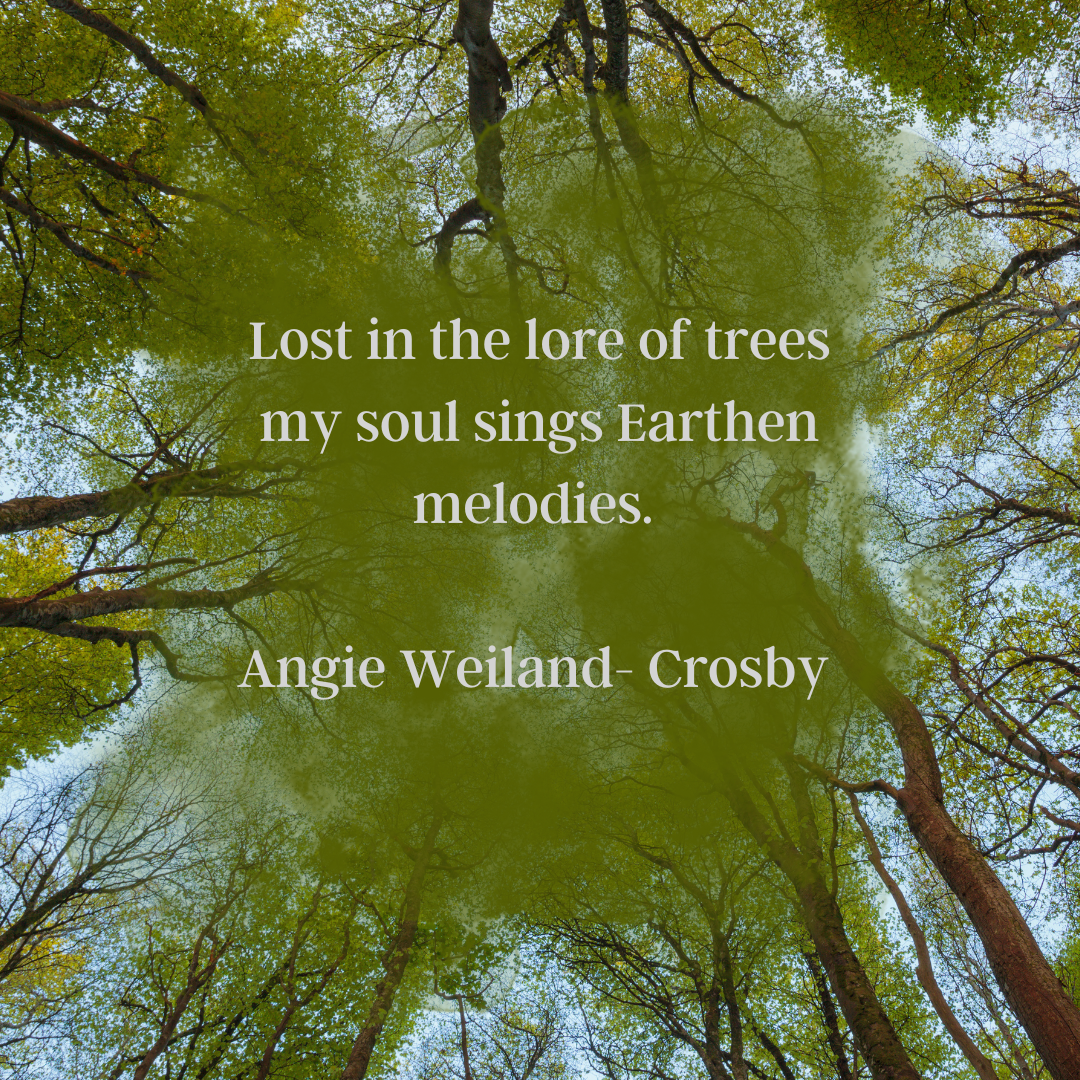 16.png