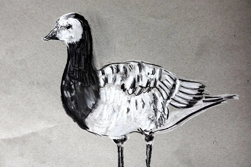 Goose 1.jpg