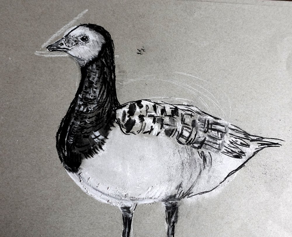 Goose fin.jpg