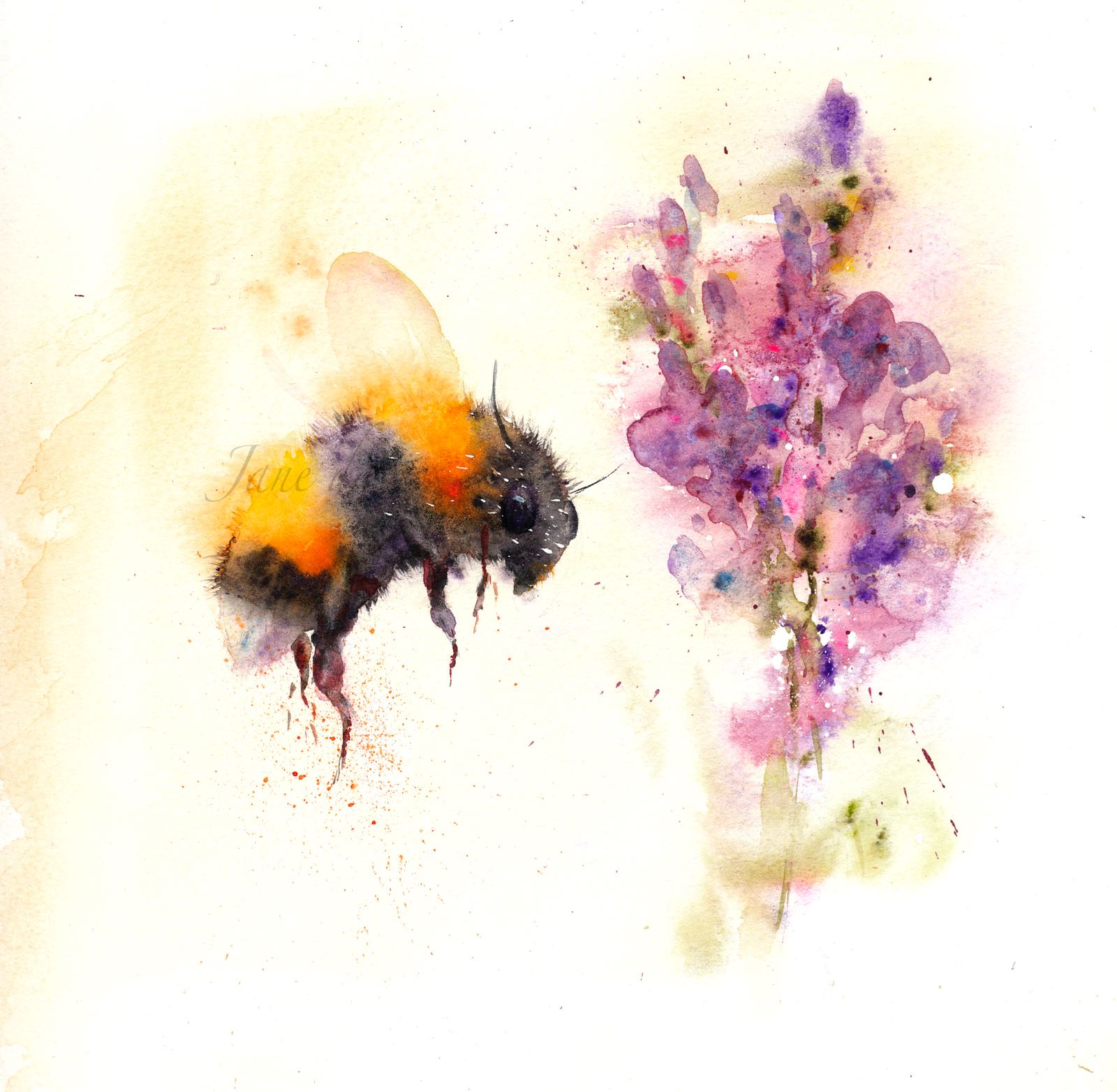 Watercolour Masterclass with Jane Davies