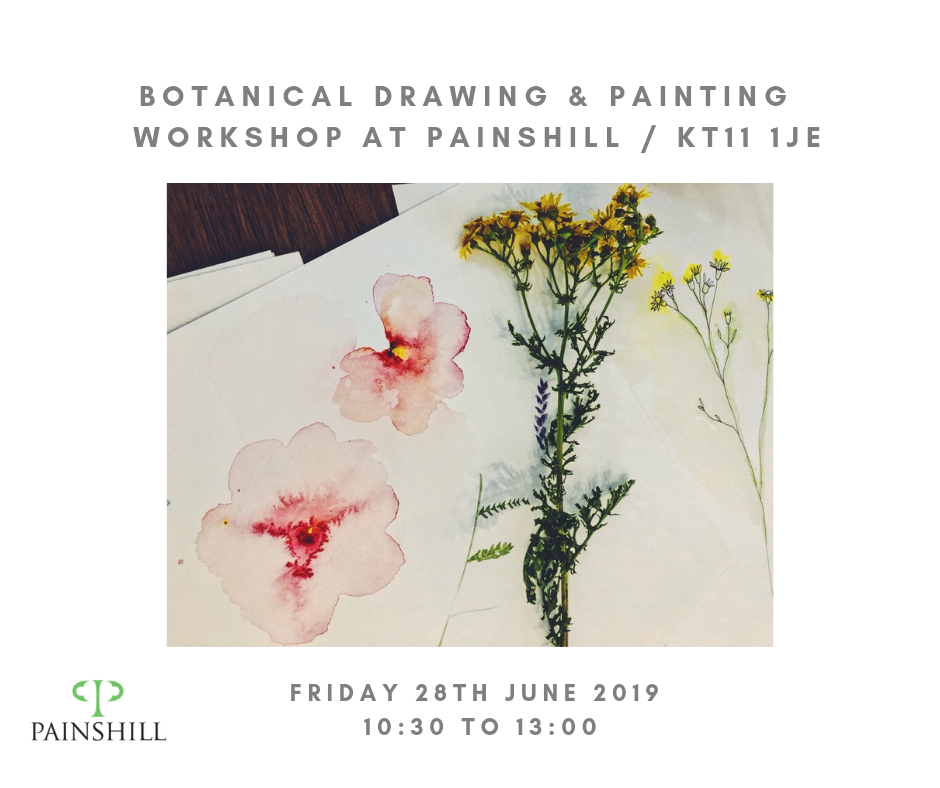 Botanical Drawing and Painting Workshop 