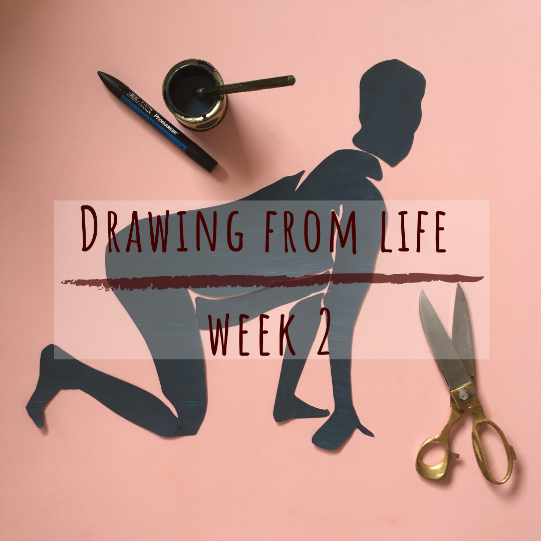 Drawing from Life : Week 2