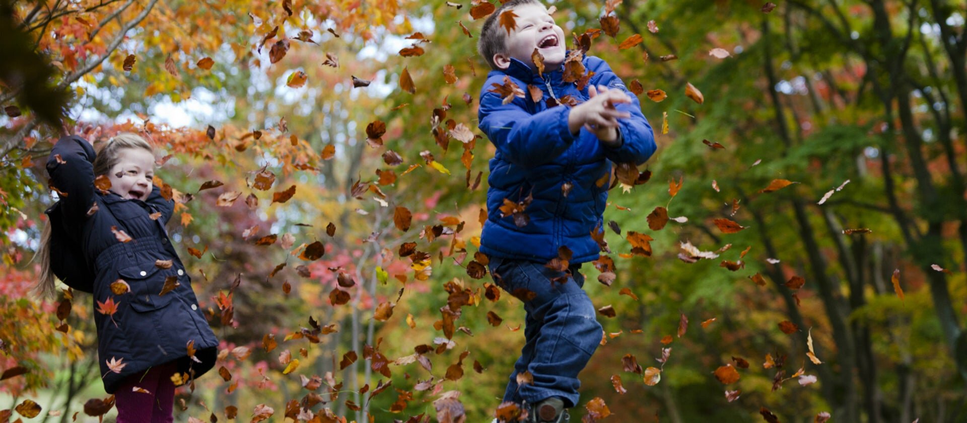 autumnleavesplayingbodnant1040507megantaylor.jpg