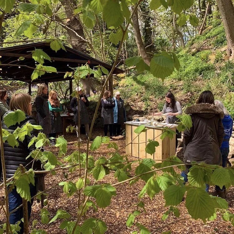 in the woods with The Salt Box.jpg
