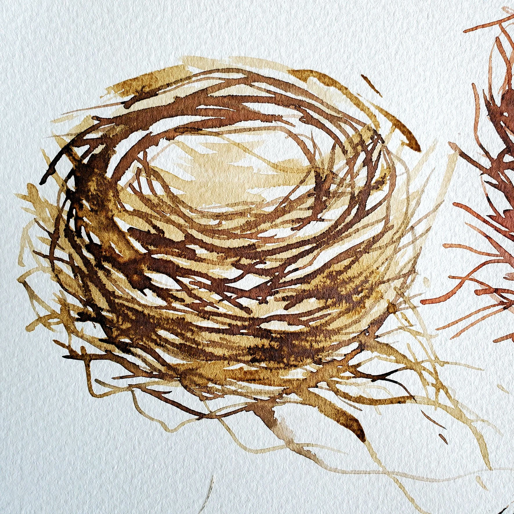 Nest 2.jpg
