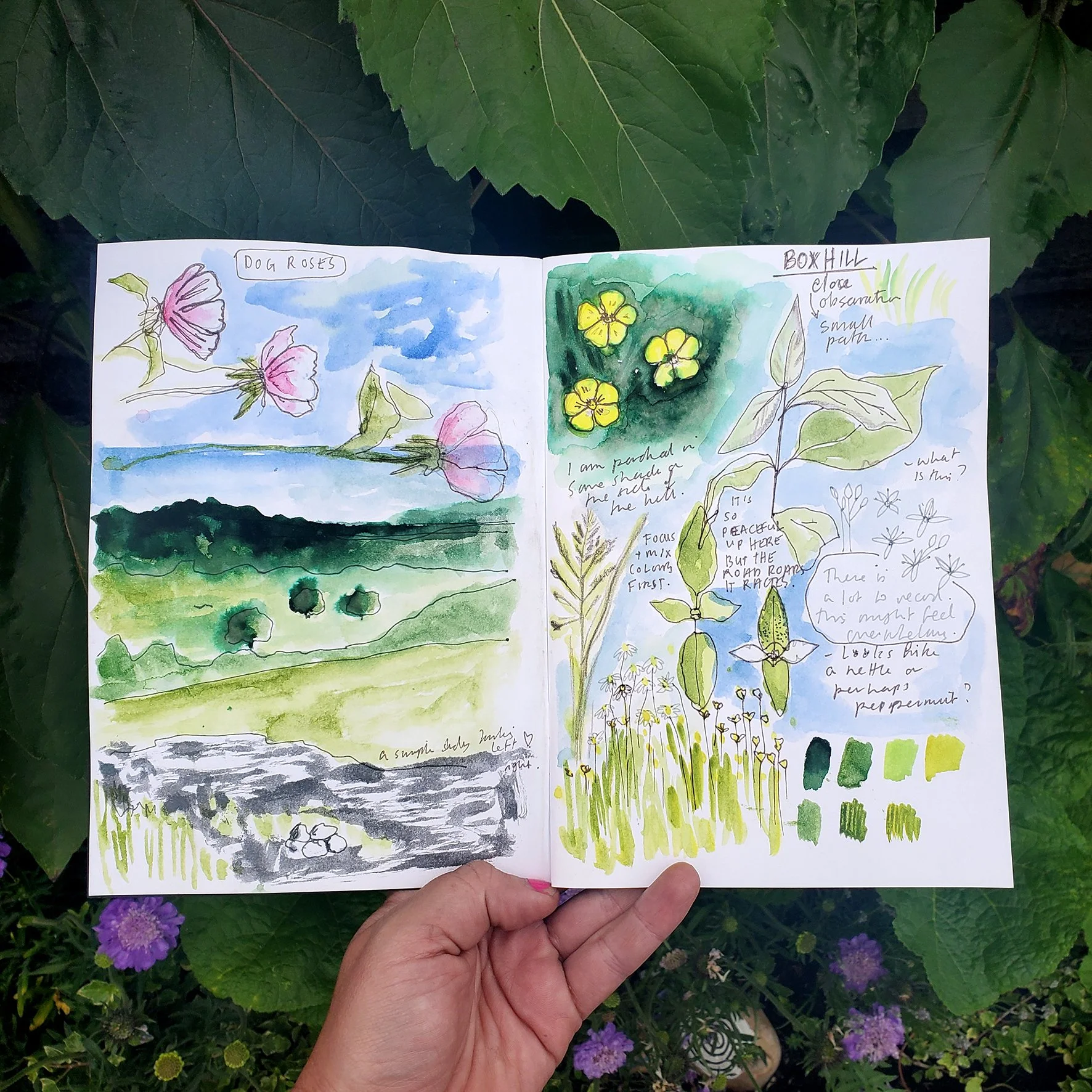 Nature Journal Square SML.jpg