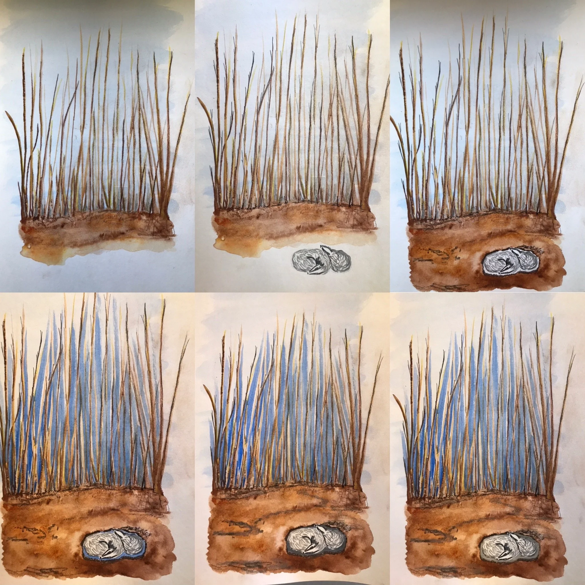 Phughes sett.jpg