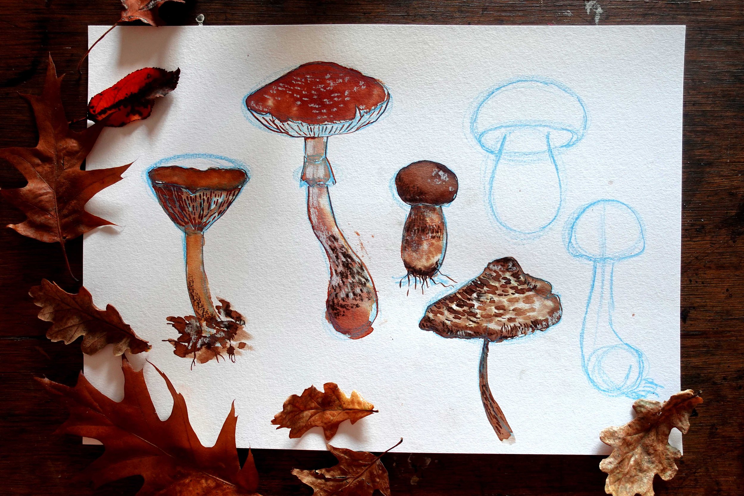 Autumn Fantastic Fungi Tutorial 