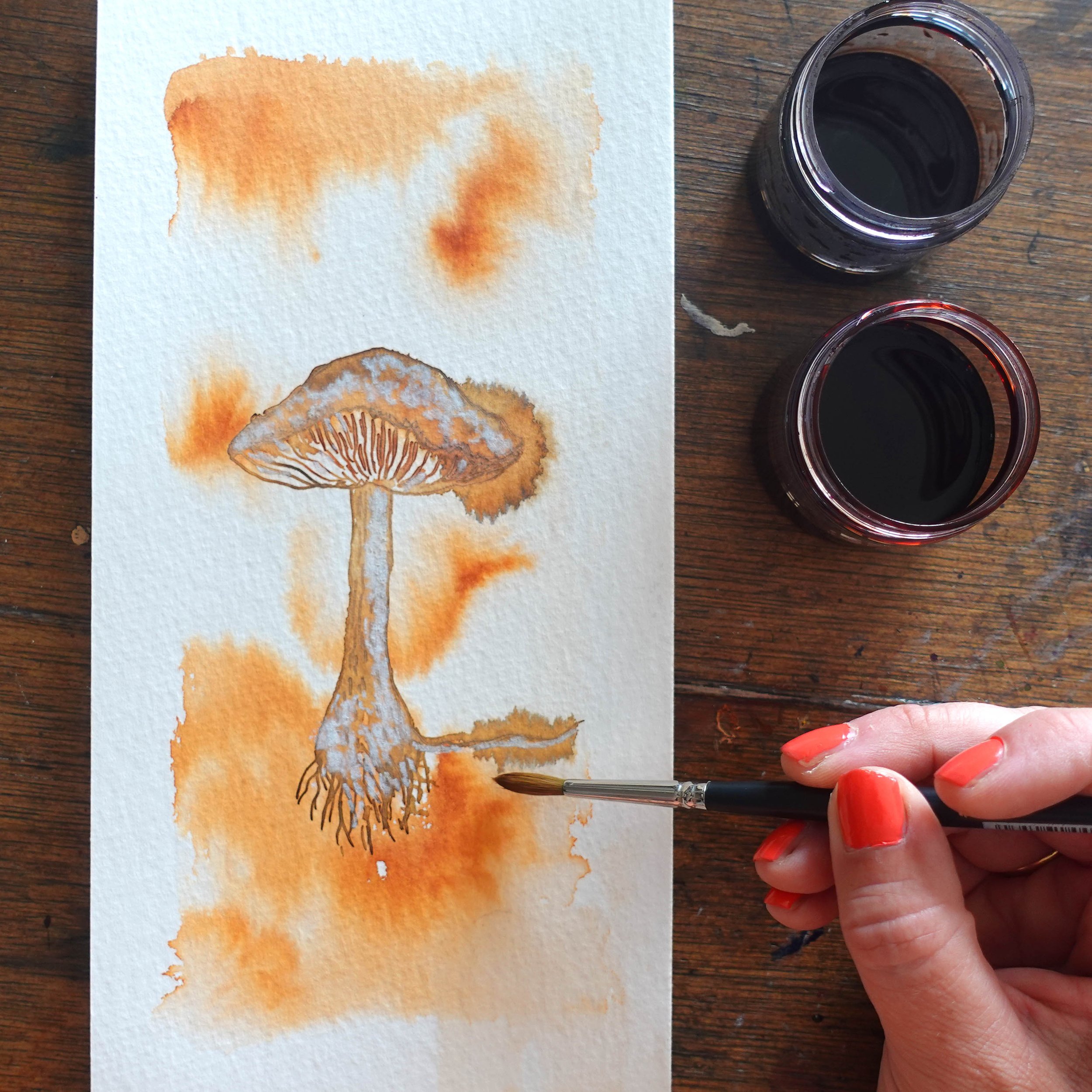Mushrooms in Ink or Watercolour