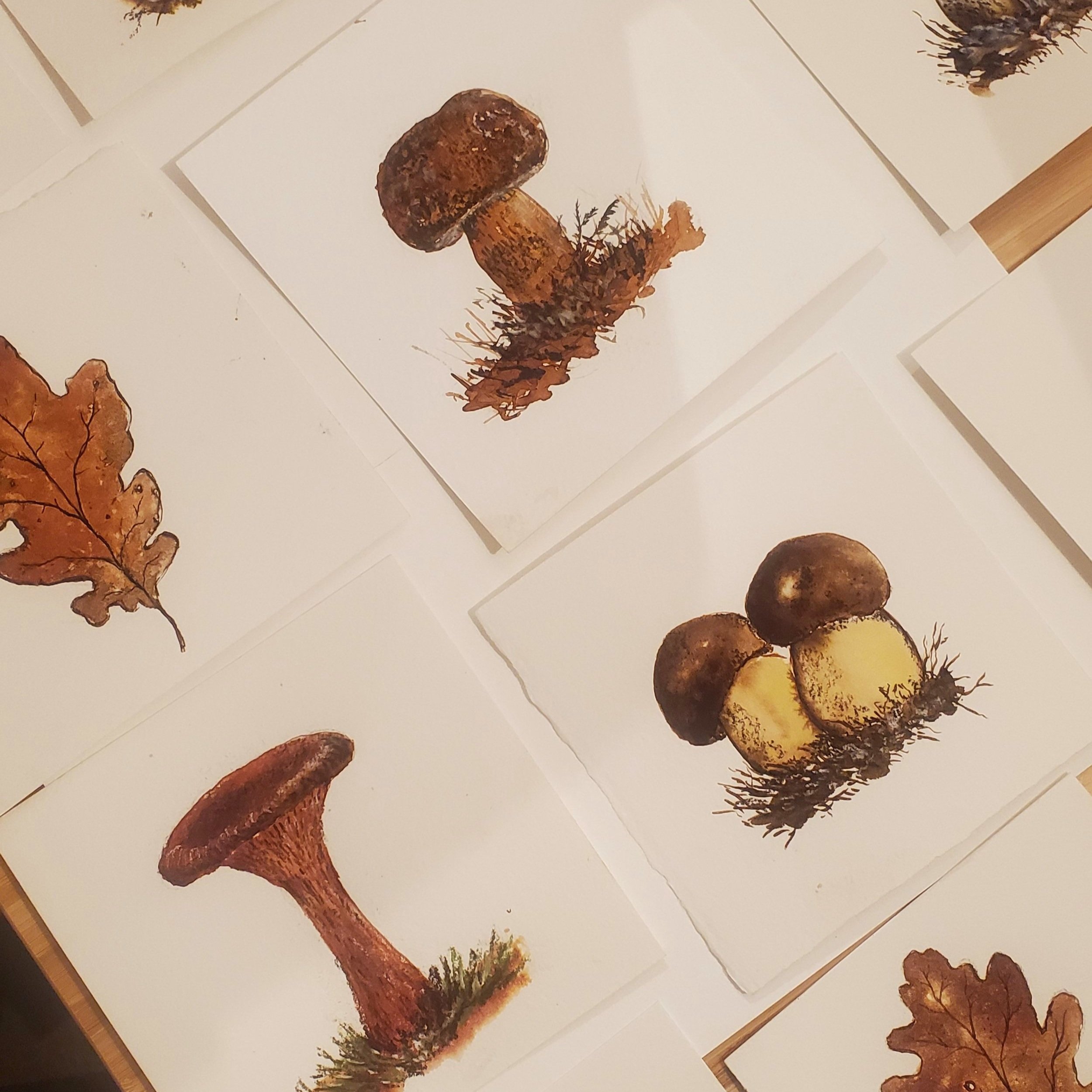 Fall in love with Fungi