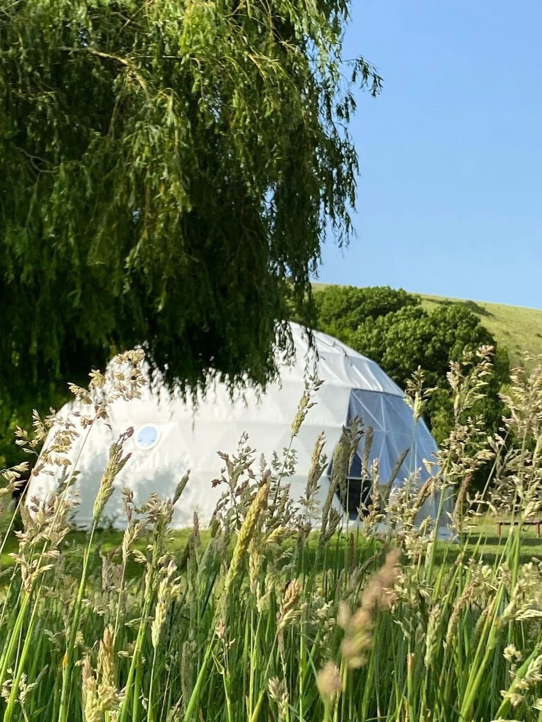 The Inner Bloom Studio 
