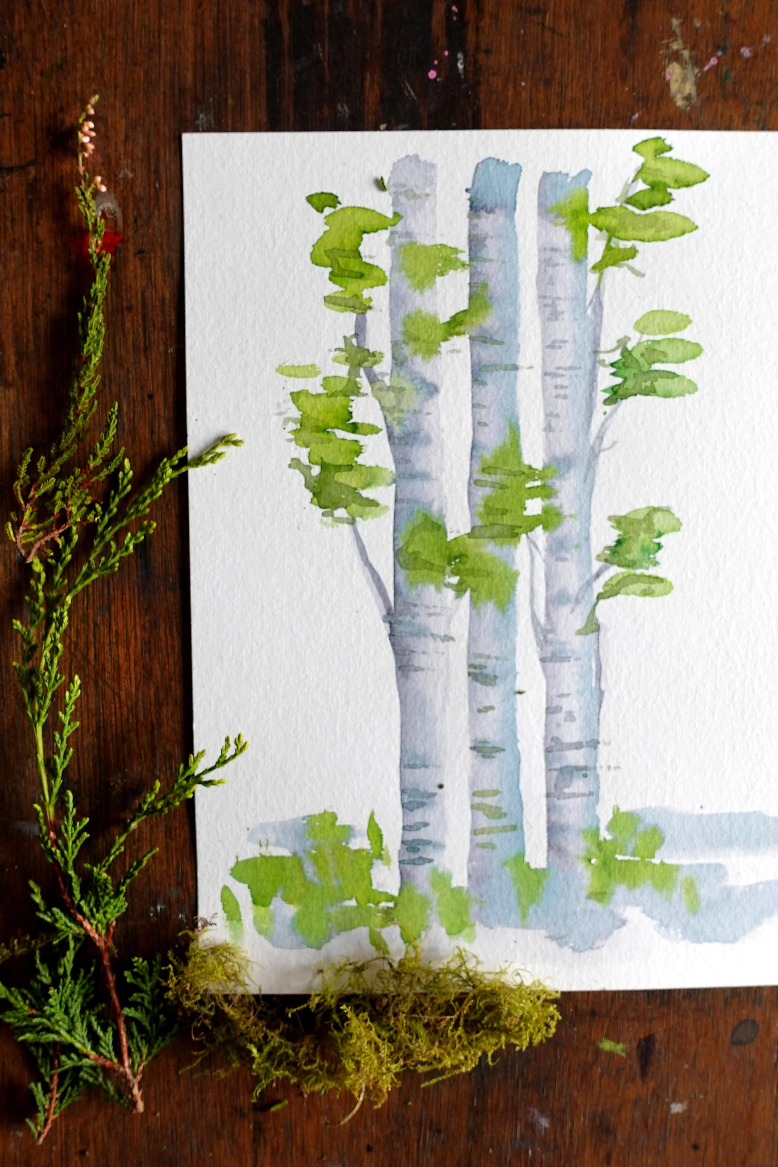 Portrait tree.jpg