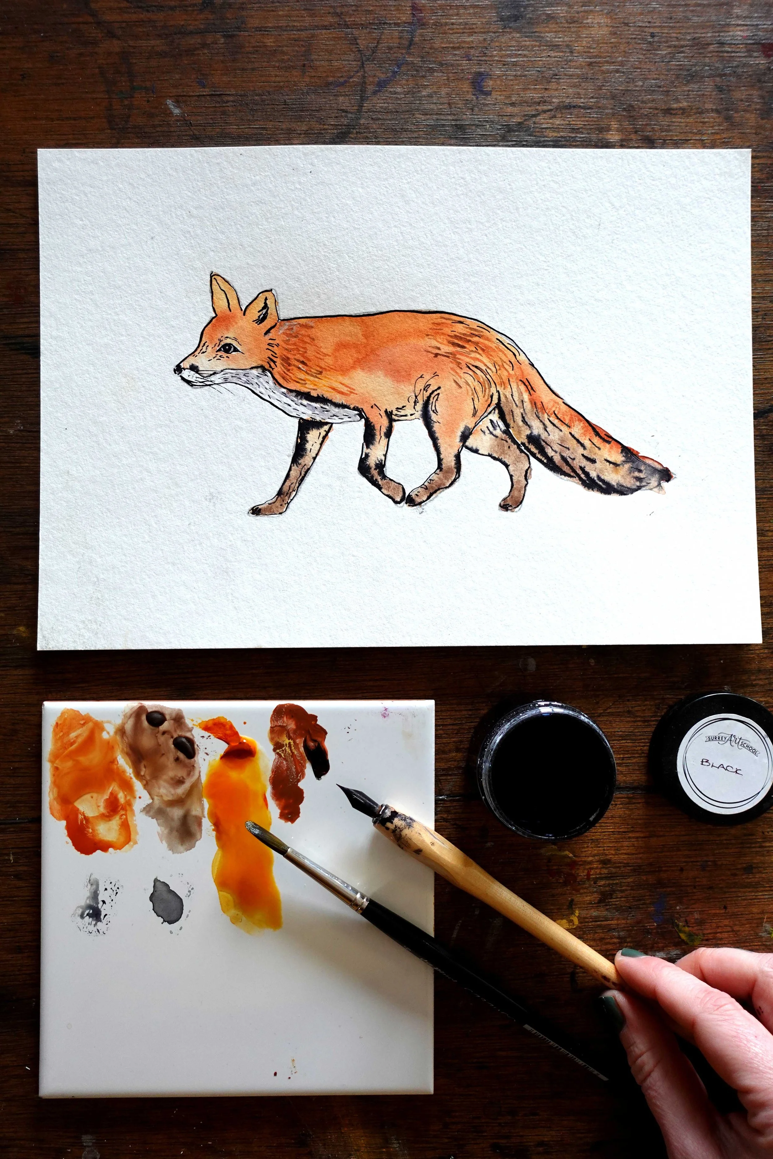 Fox fin.jpg
