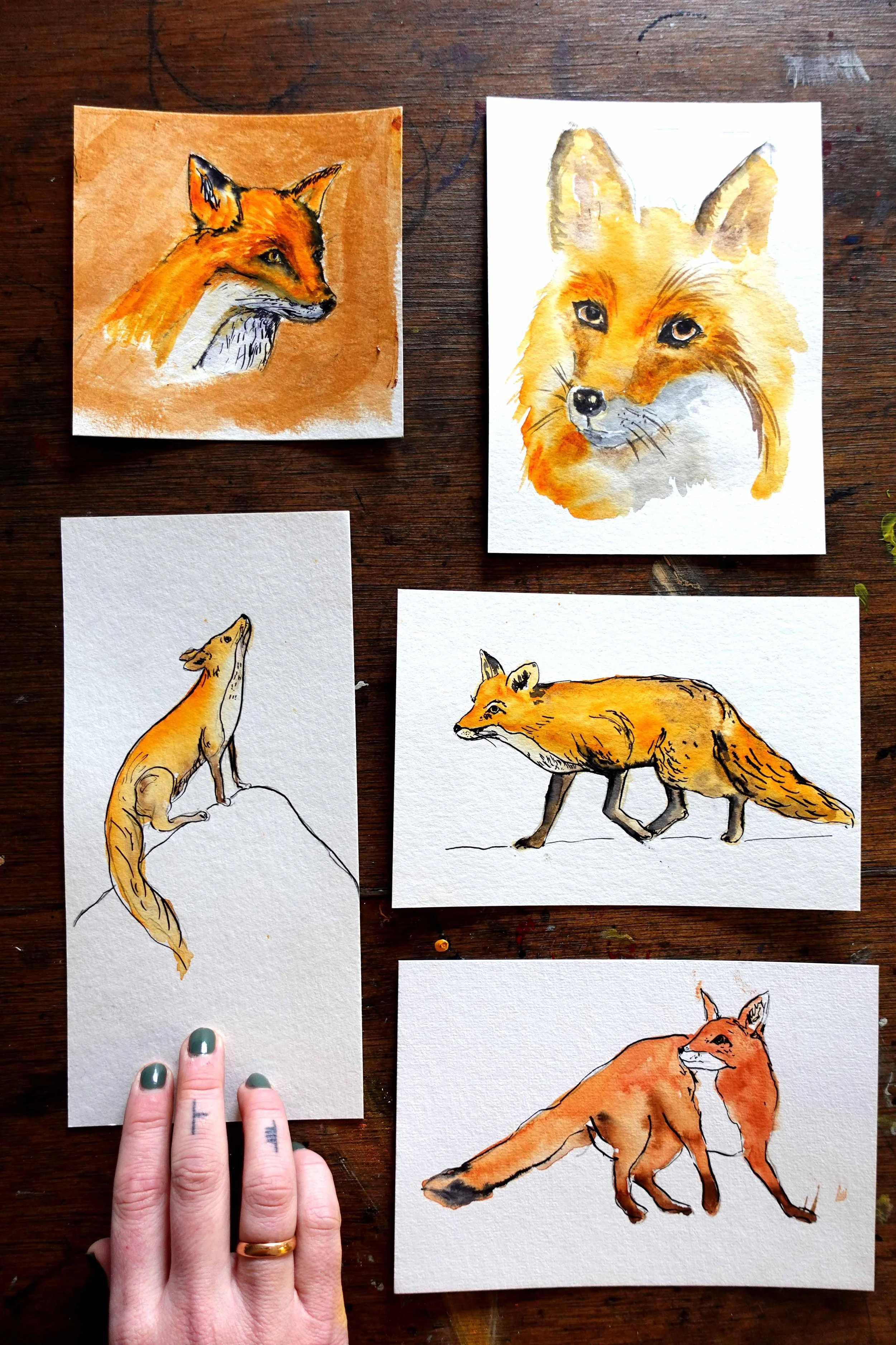 Fox samples.jpg