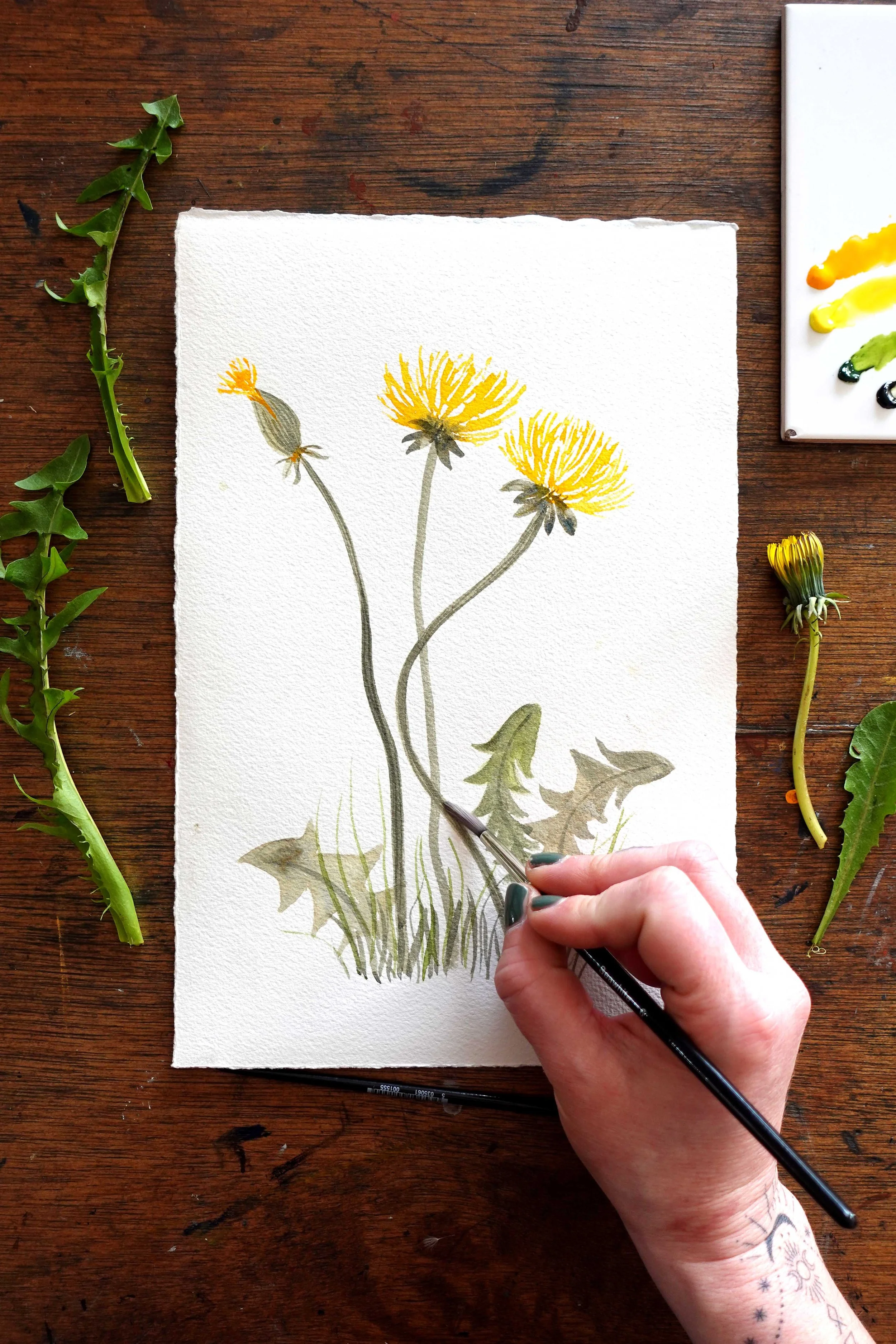 Pick and paint wildflowers