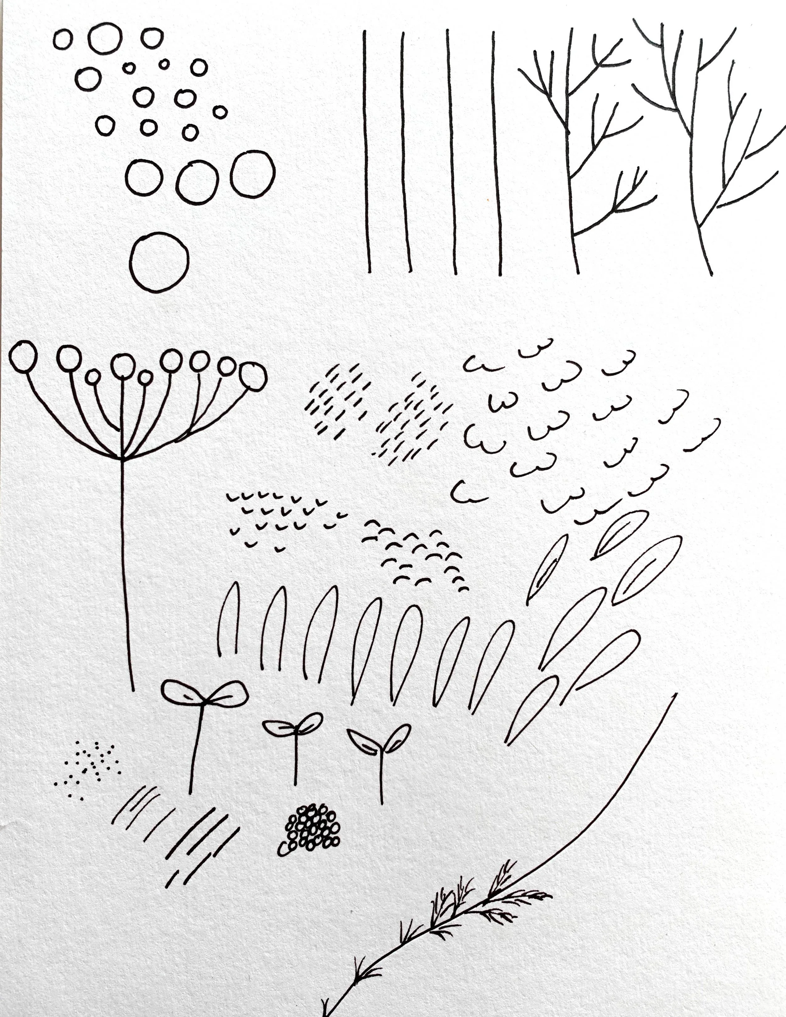 Doodle 1.jpg