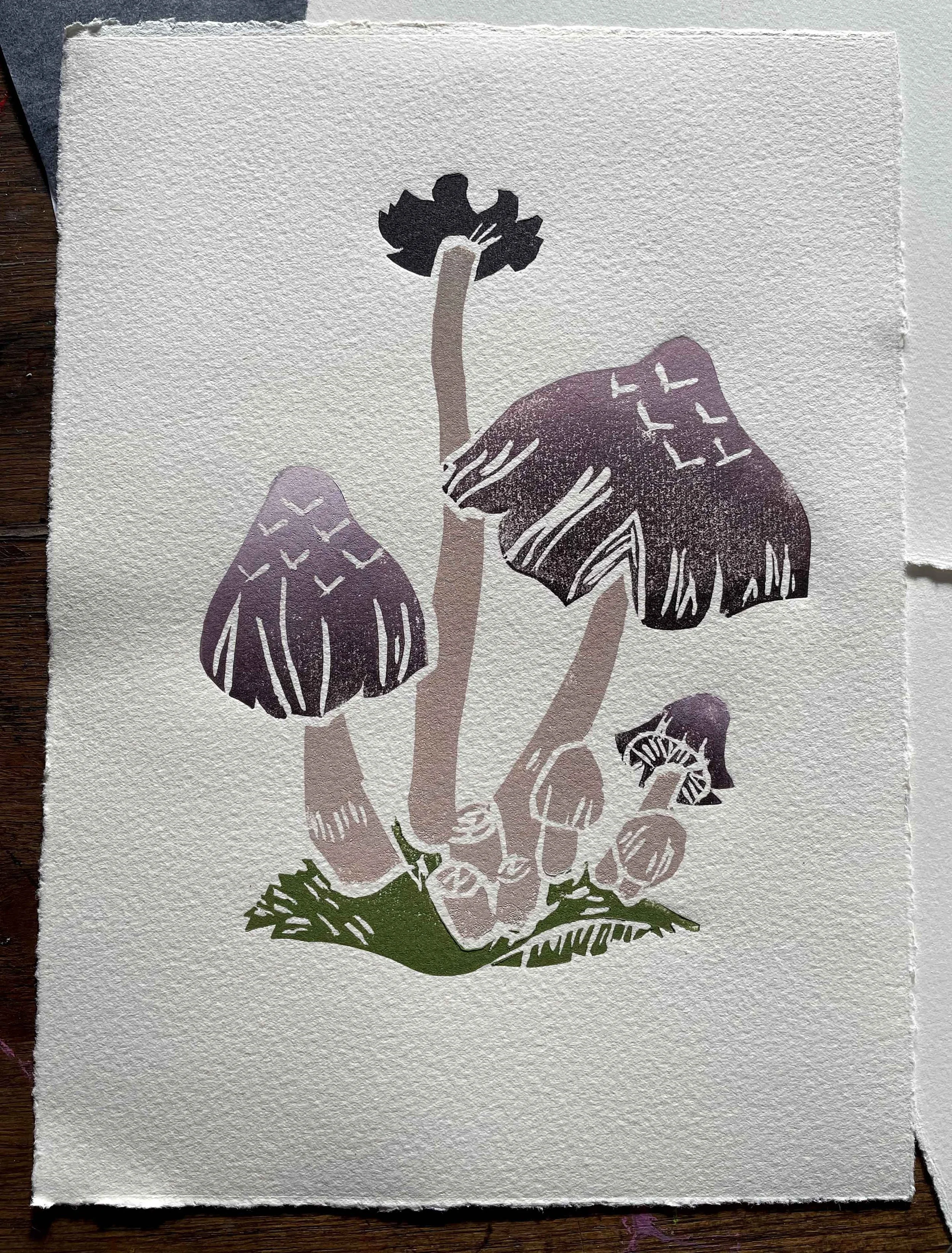 Mushroom edit 1.jpg