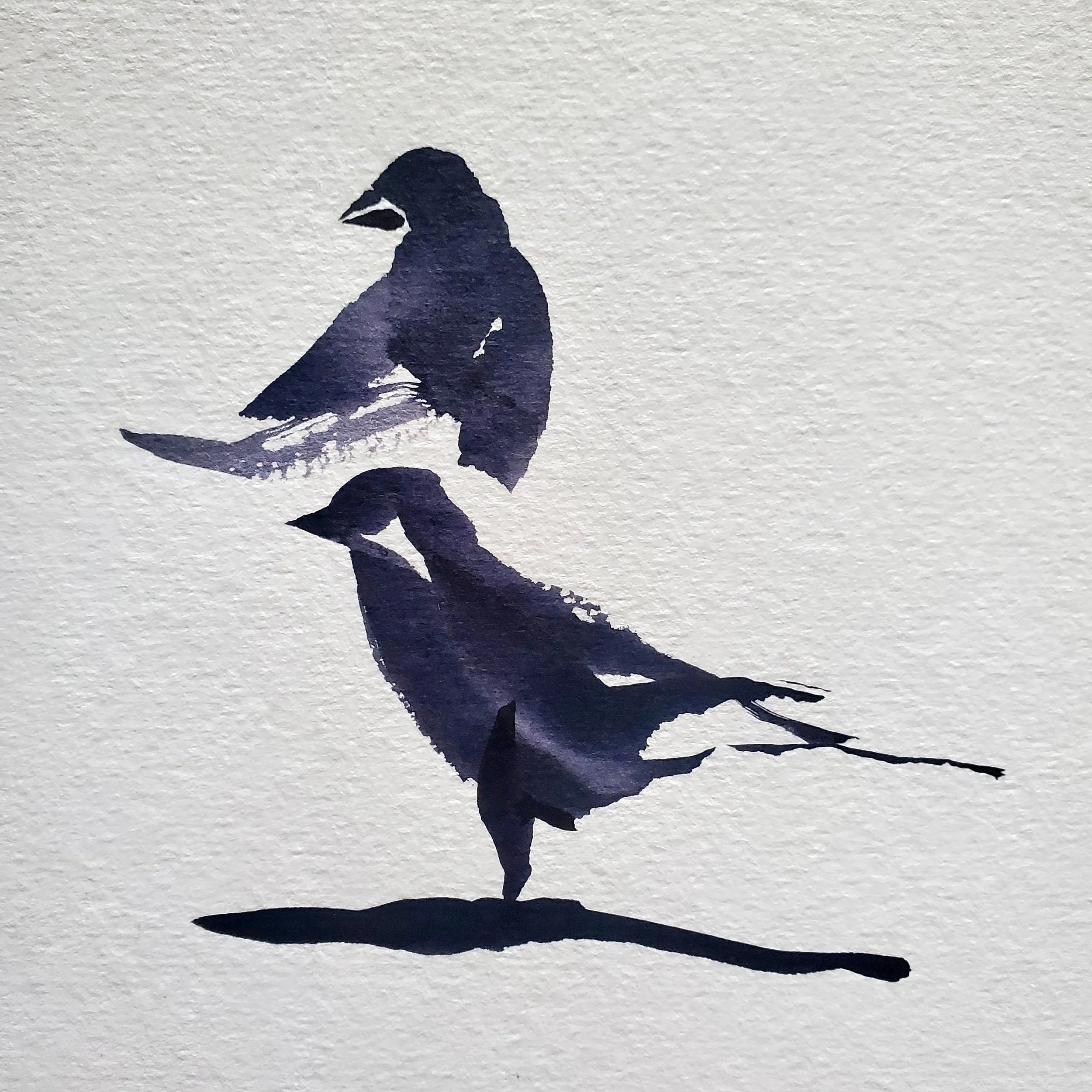Birds.jpg