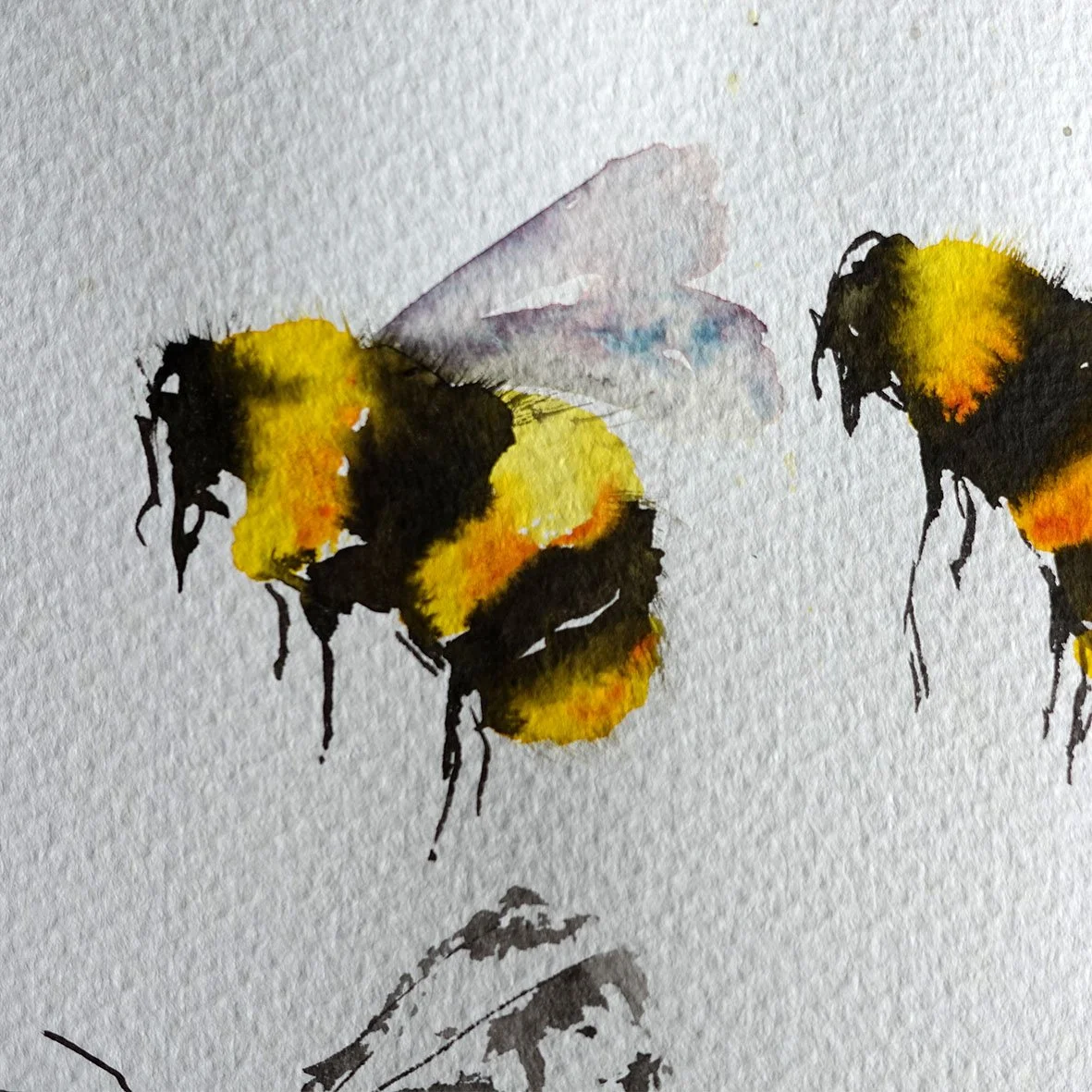 Bee 1.jpg