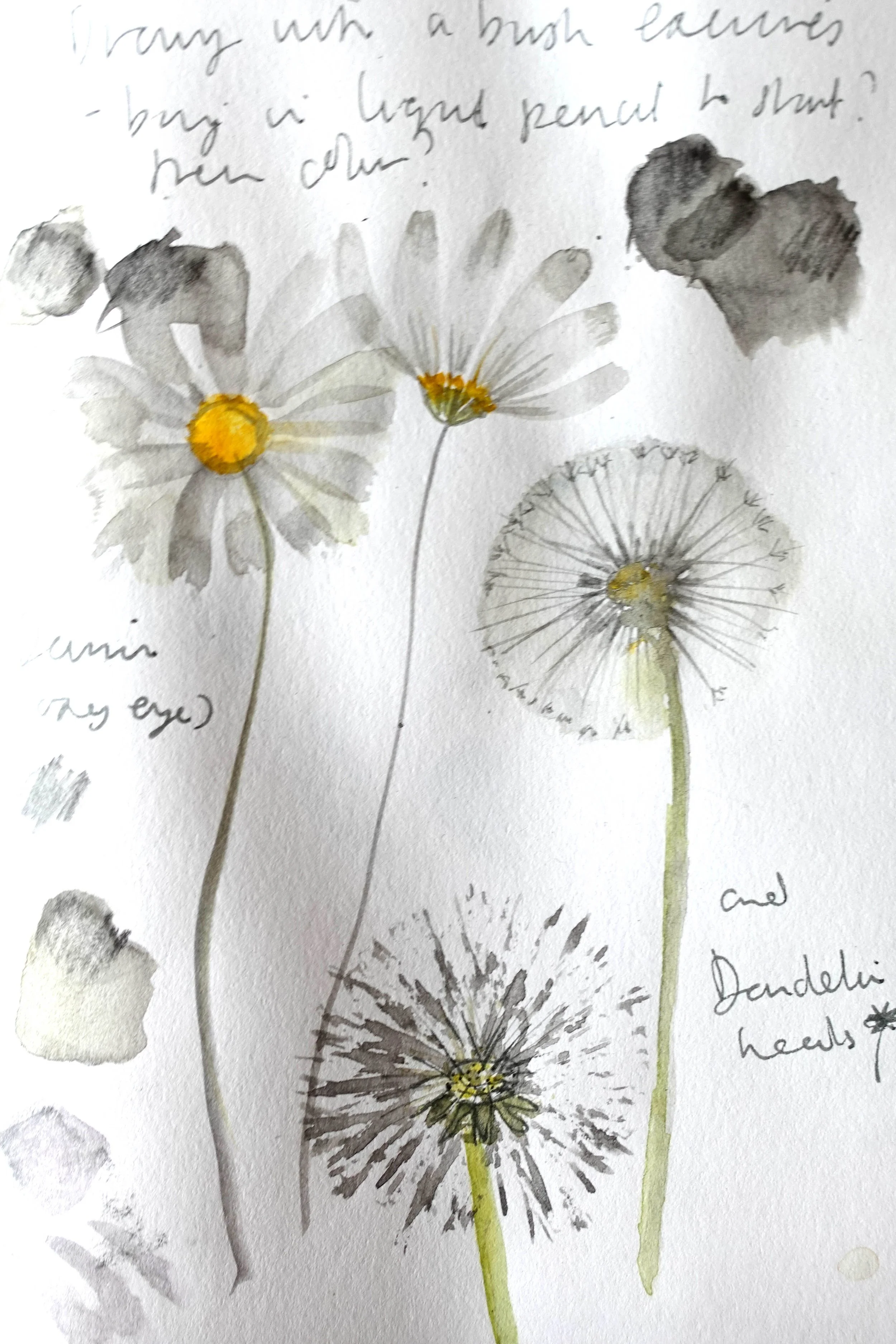 Dandelion Journal.jpg