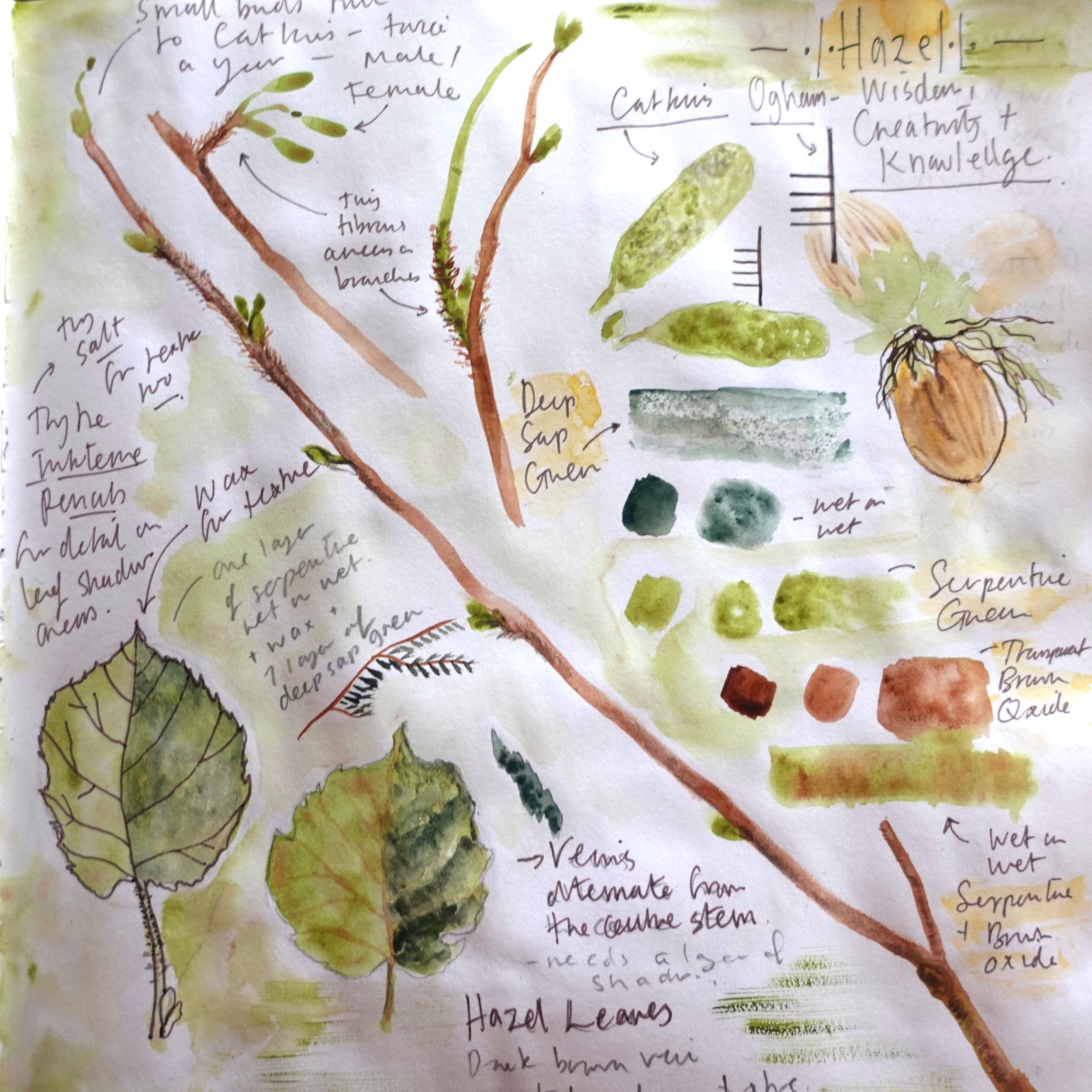 Whole tree sketchbook.jpg