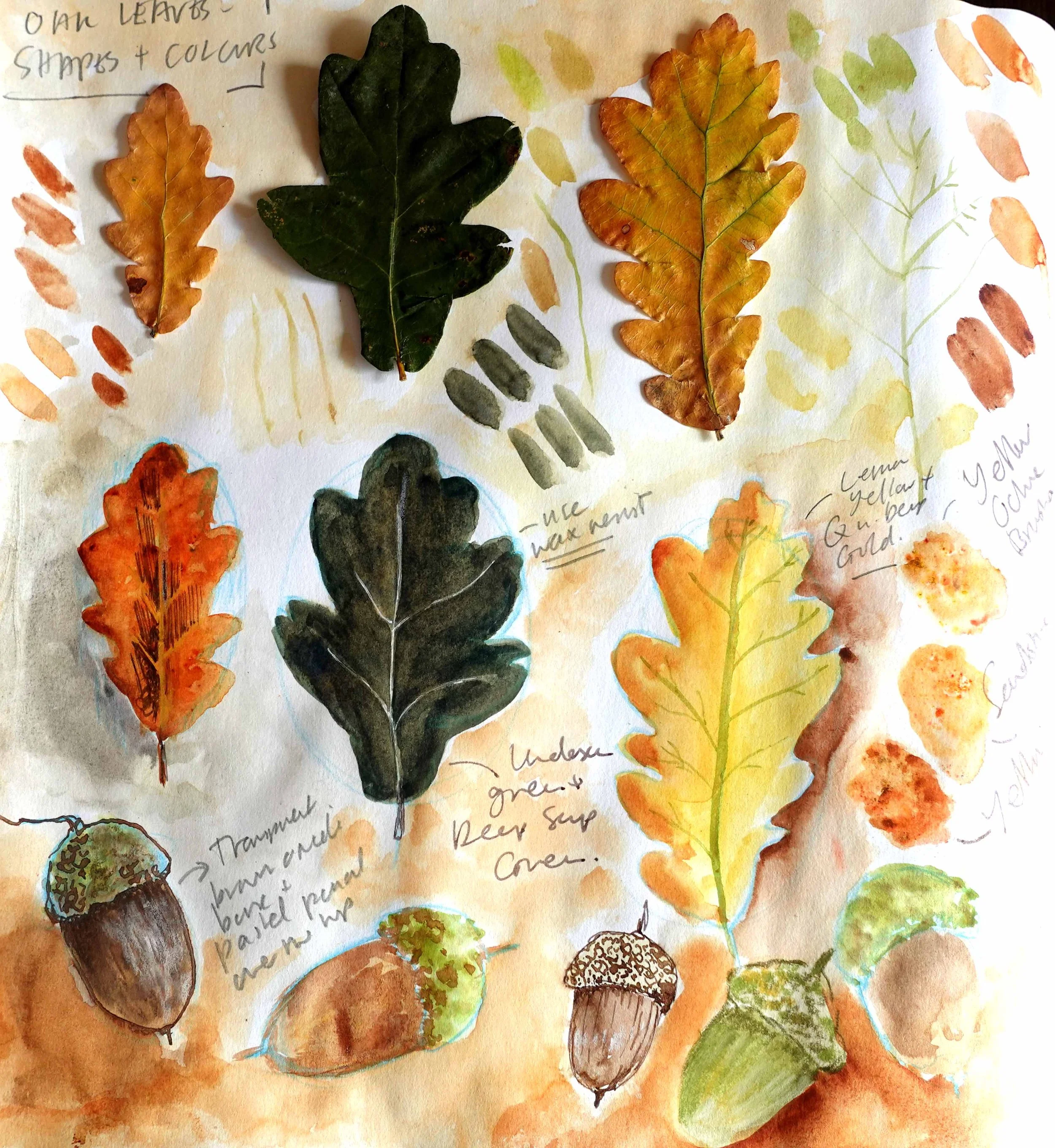 Sample1.jpg