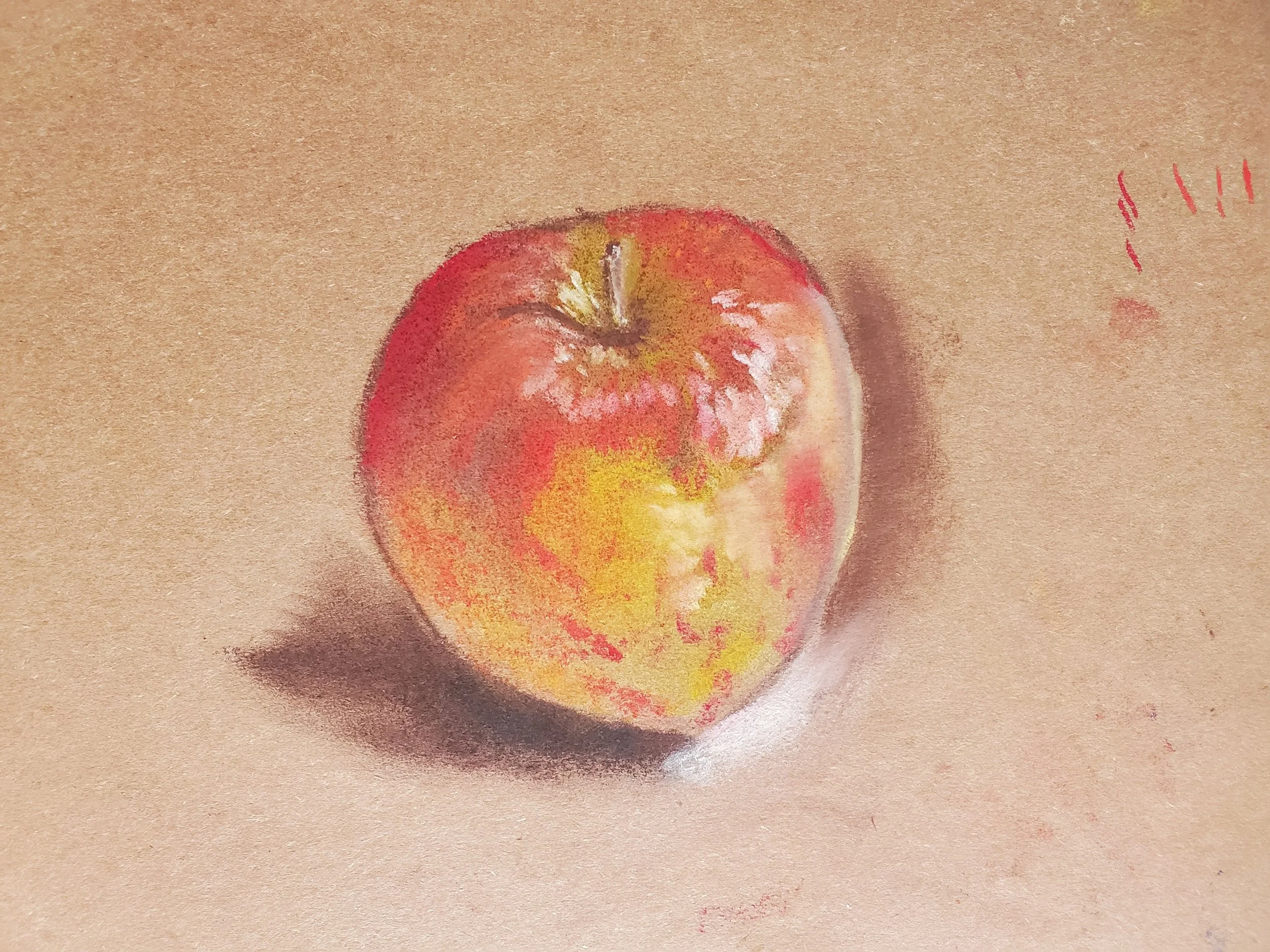 20210326_122721.jpg
