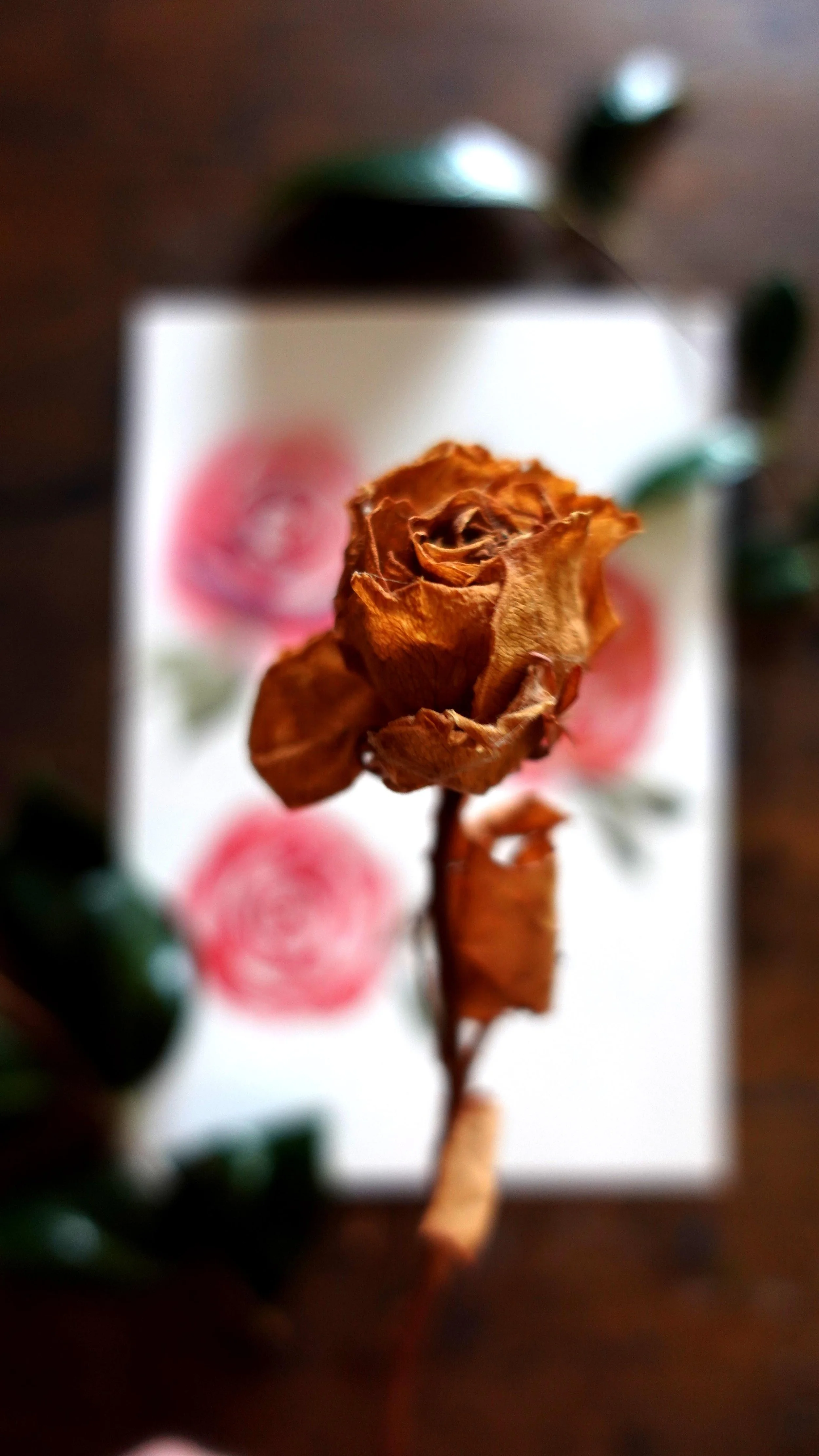 Rose.jpg