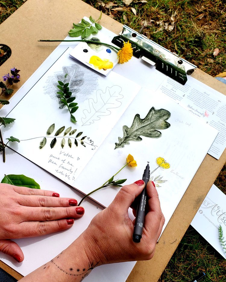 Drawing on the lawn - Pen & Wash in Summer at Hannah Peschar Sculpture Garden