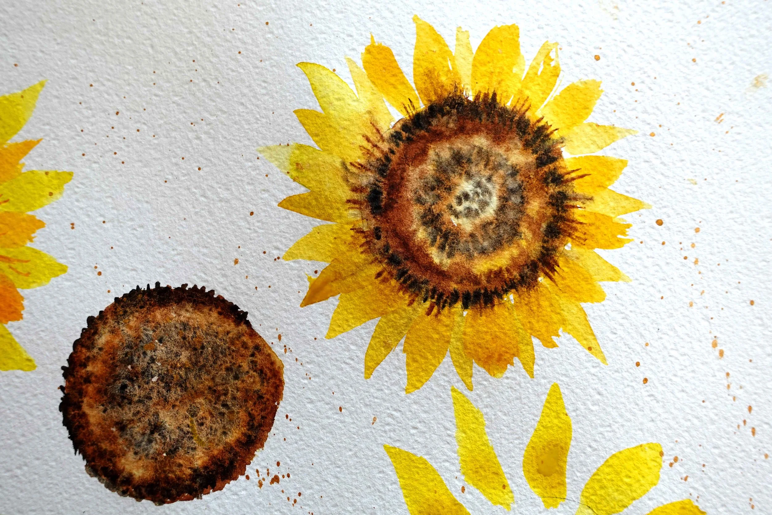 Sunflower Sample 1.jpg