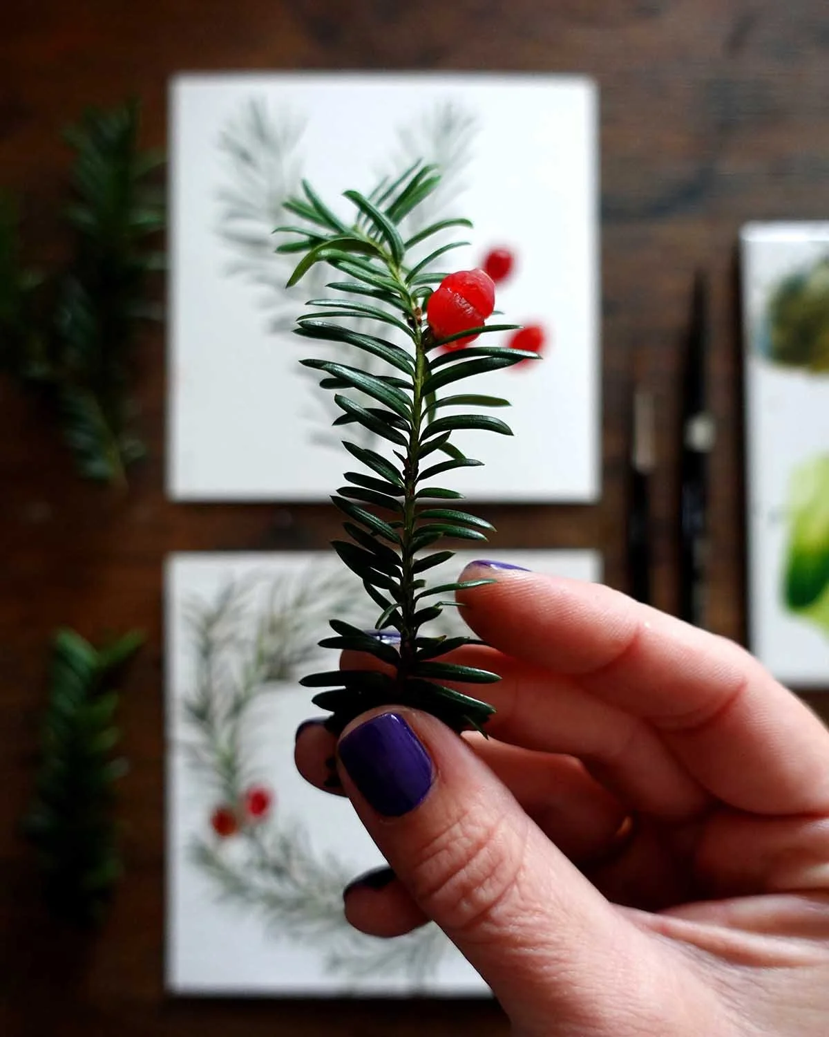 Yew wreath.jpg