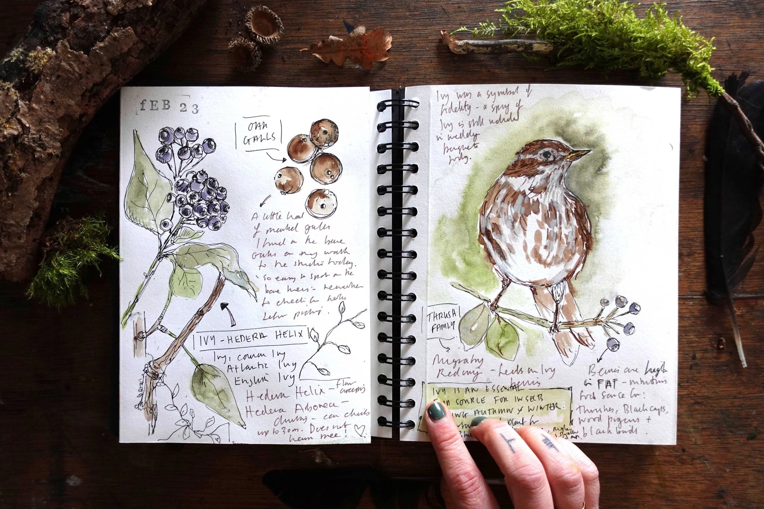 Signs of Spring - Nature Journaling Workshop