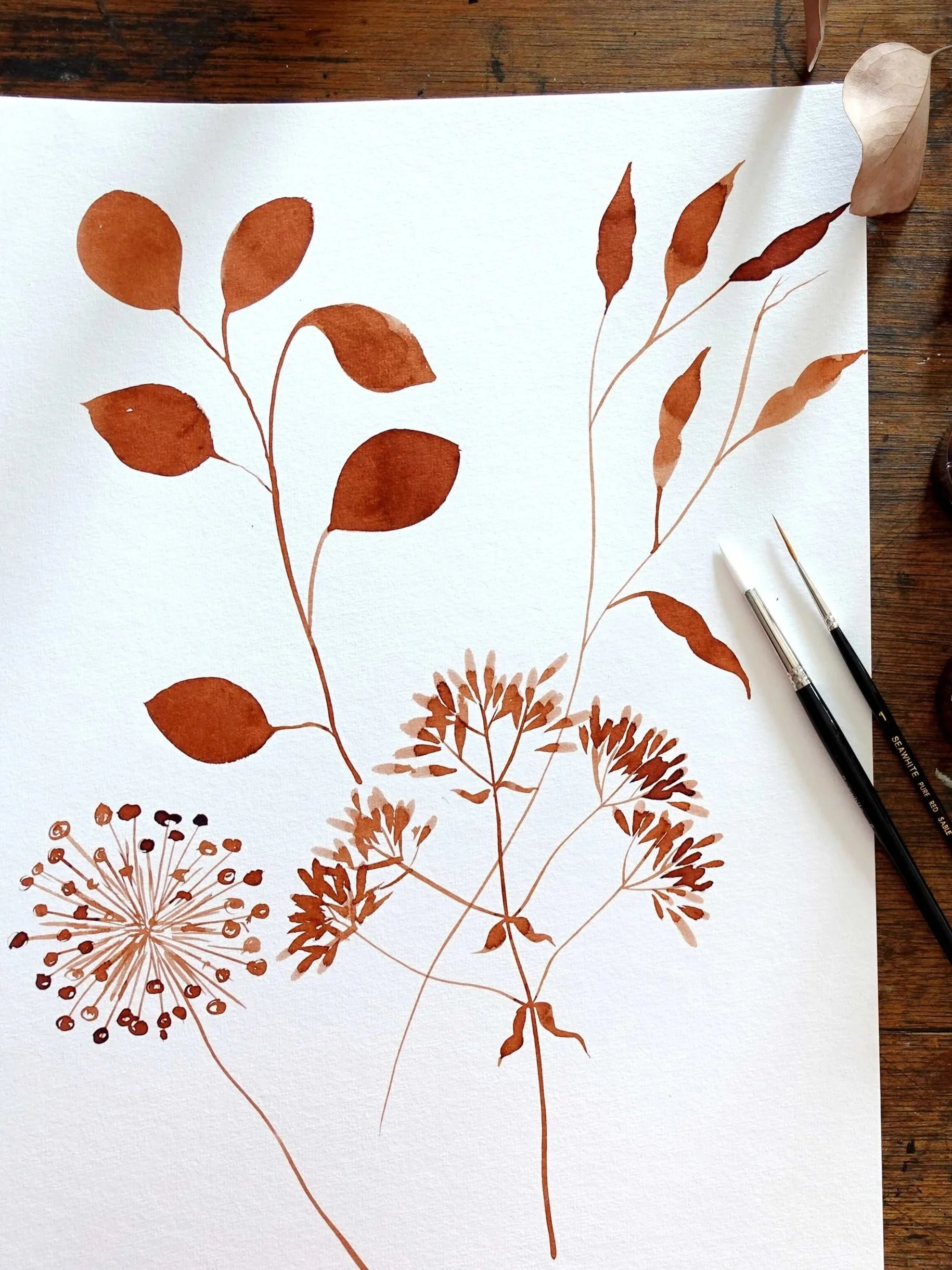 Drawn+to+Nature+1+sq.jpg