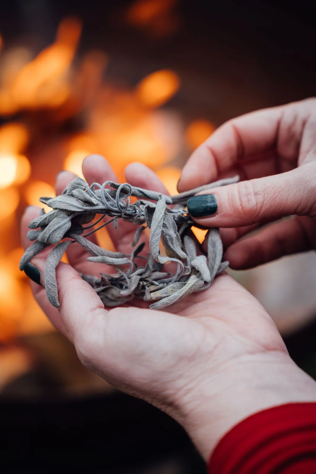 Wild Woman Circle - New Moon 