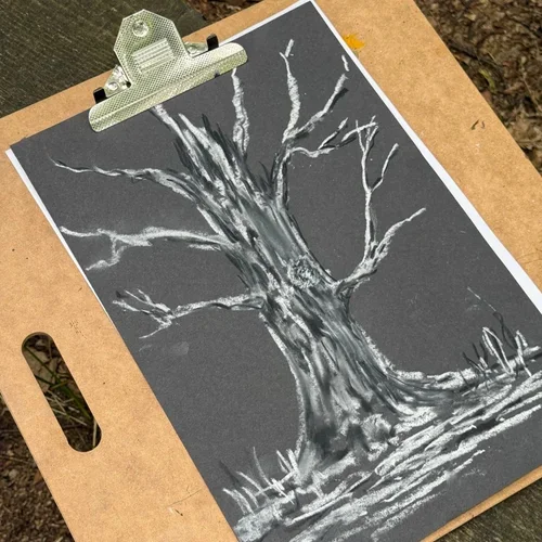 Drawing the Spirit of Trees at Surrey Wildlife Trust