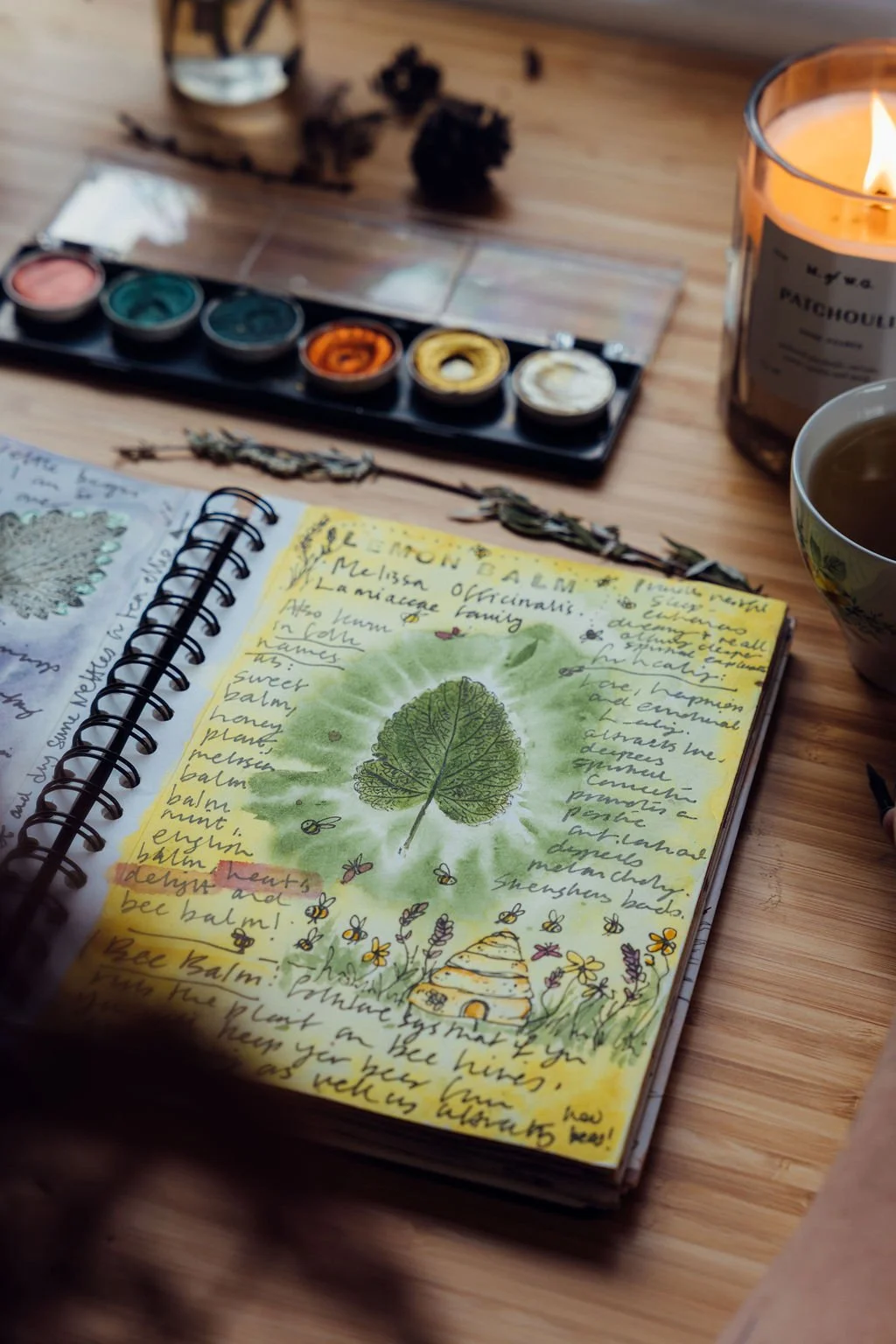 The Vibrancy of Spring - Nature Journaling at Hannah Peschar Sculpture Garden