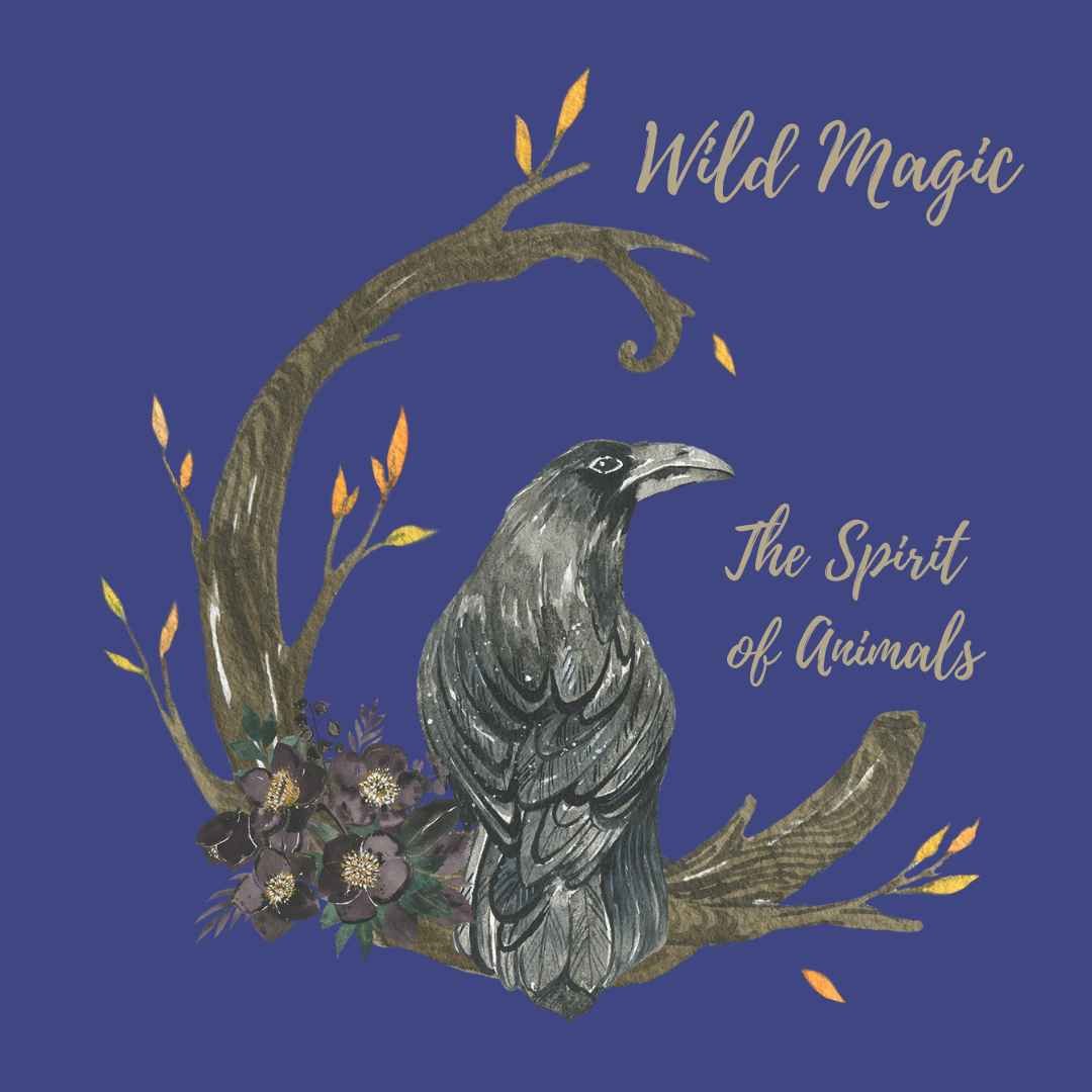 Explore : Wild Magic