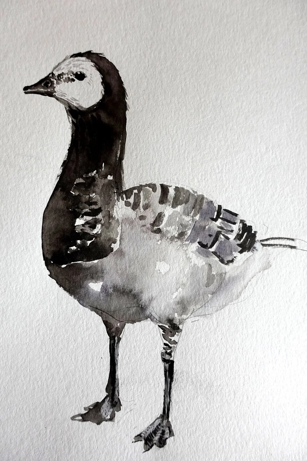 inky goose.jpg